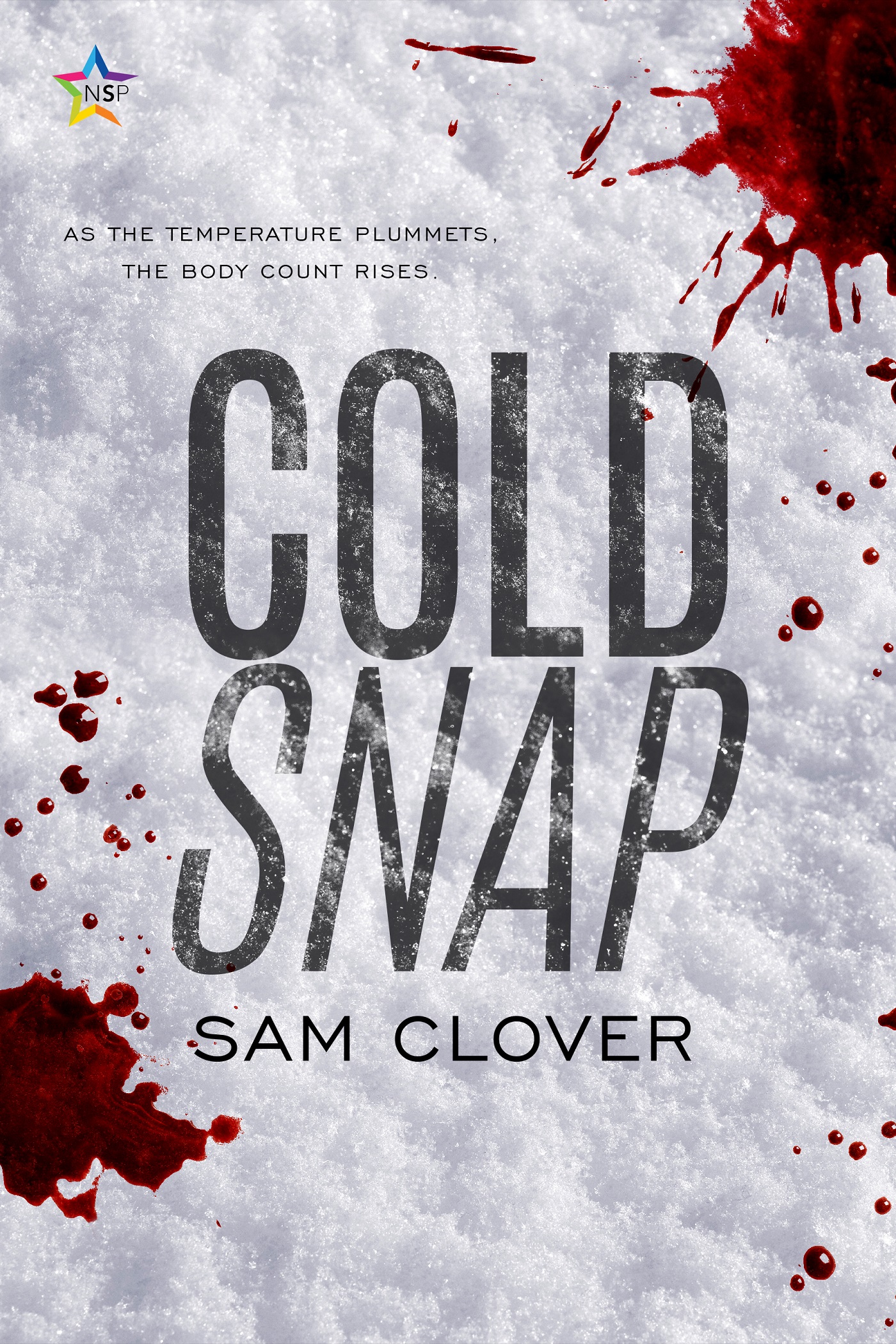 book cover for Cold Snap