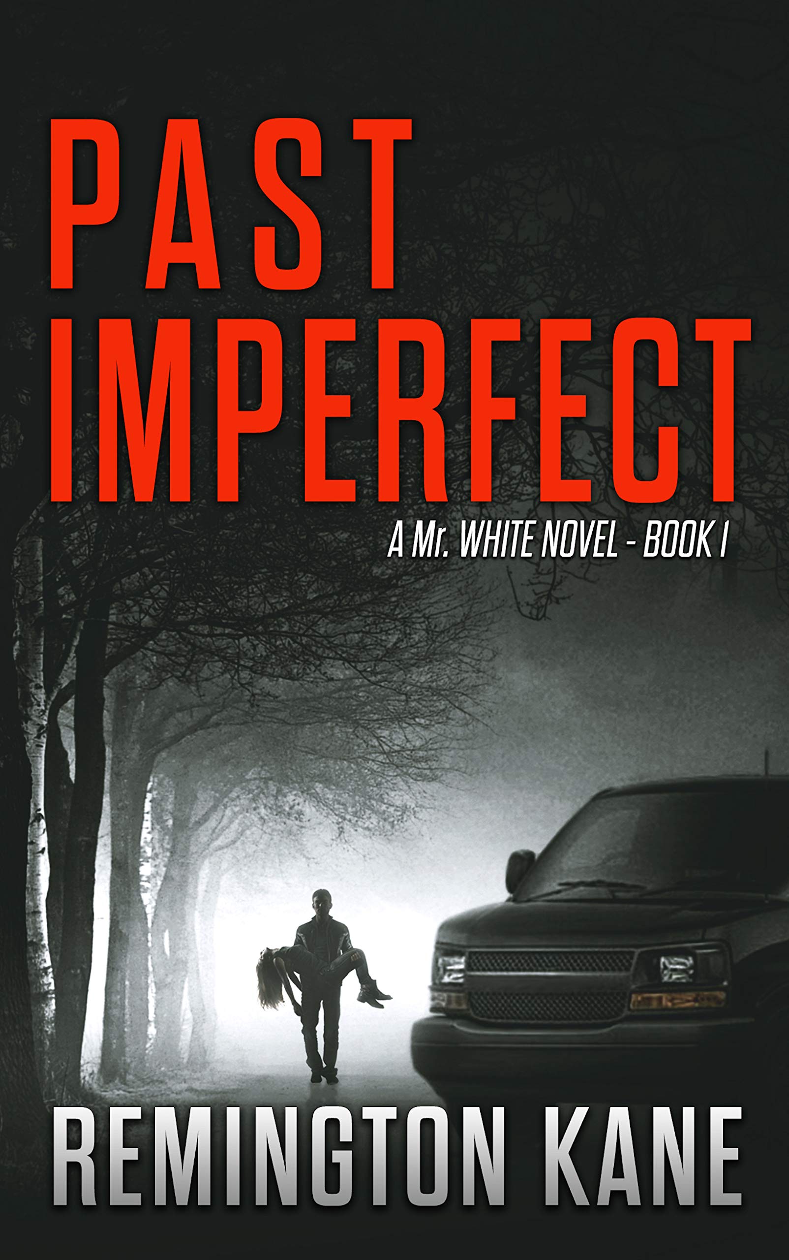 Past Imperfect: First book of the 2nd TAKEN! Series.