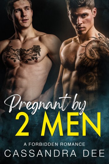 Pregnant By 2 Men book cover
