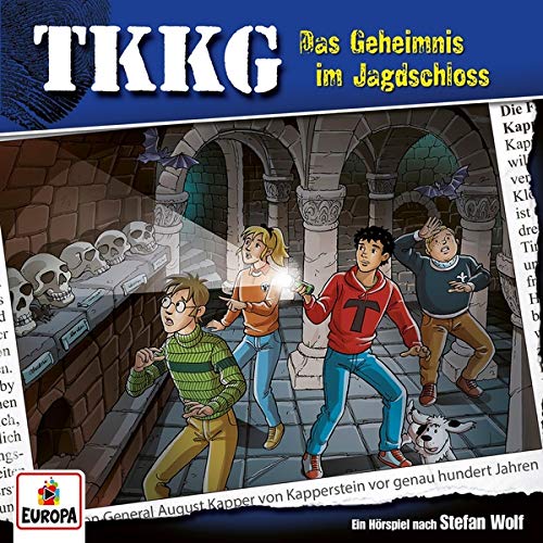 Das Geheimnis im Jagdschloss book cover