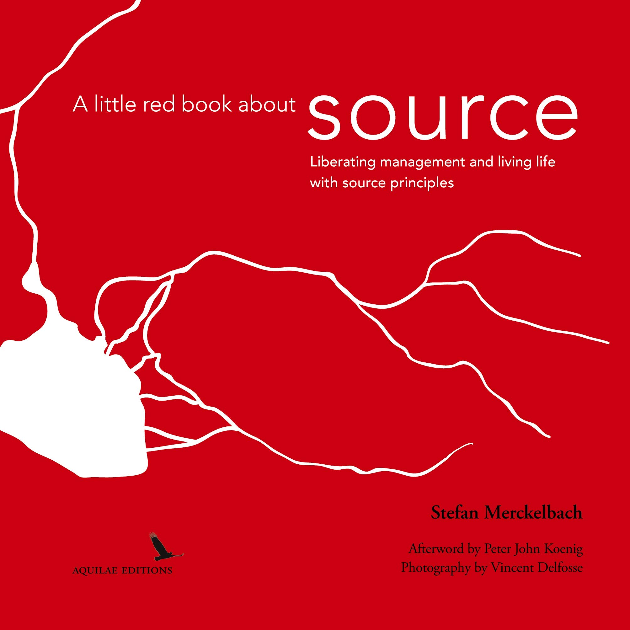 A little red book about source: Liberating management and living life ...