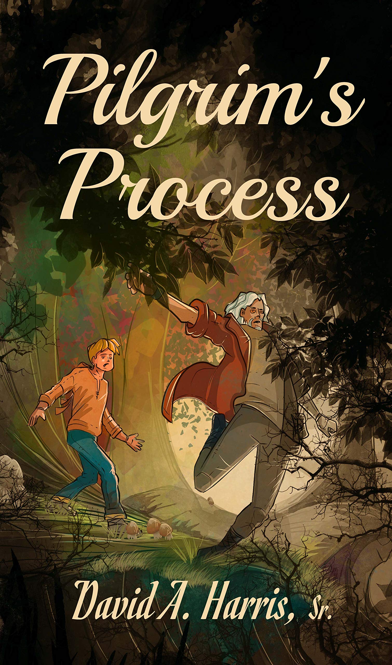 Pilgrim Process Pilgrim’s Process by David A. Harris Sr. | Goodreads