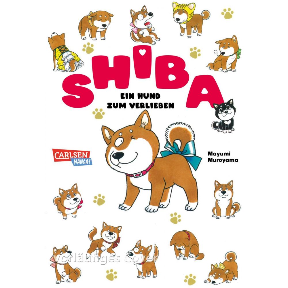 Shiba - Ein Hund zum Verlieben