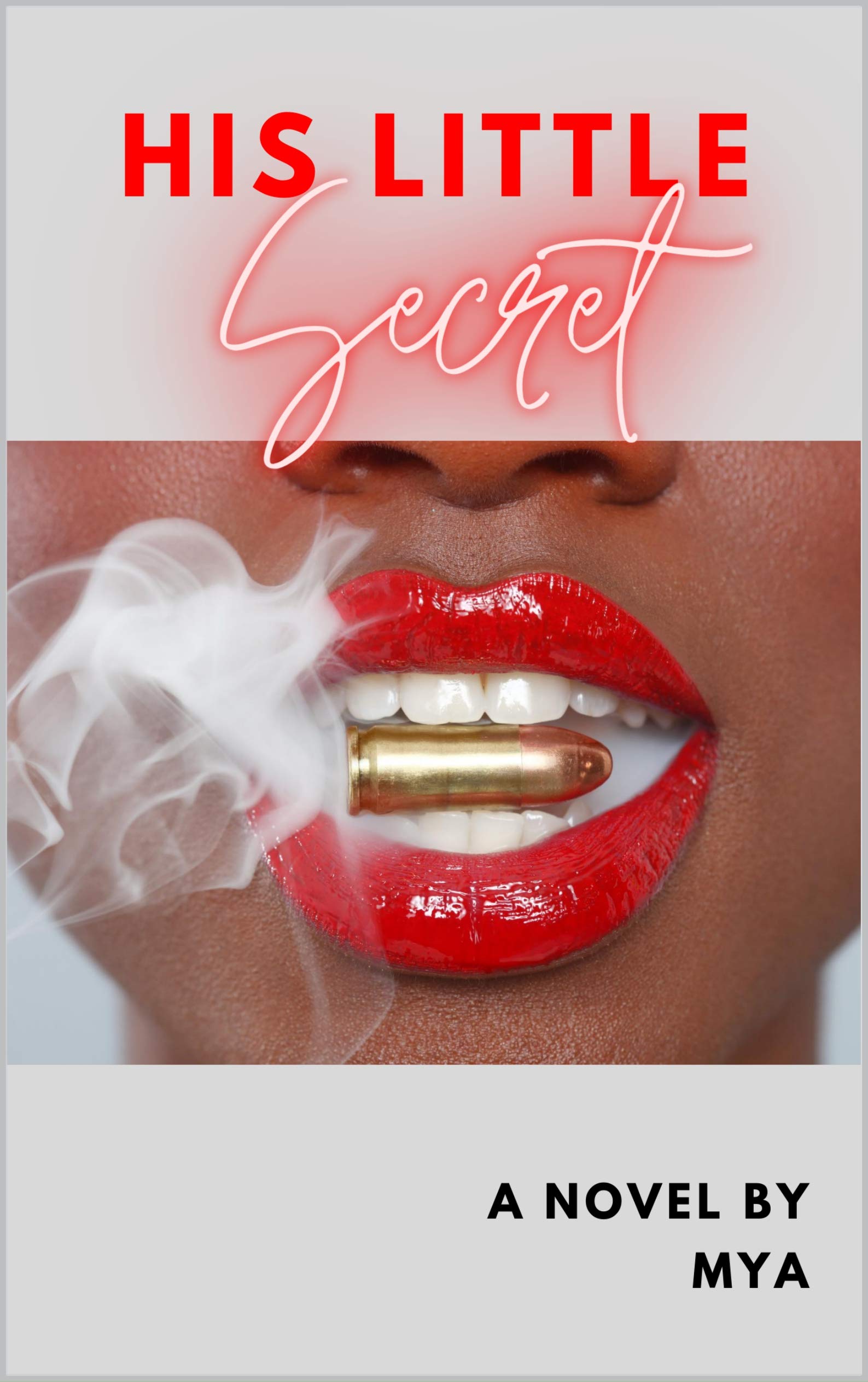 His Little Secret book cover