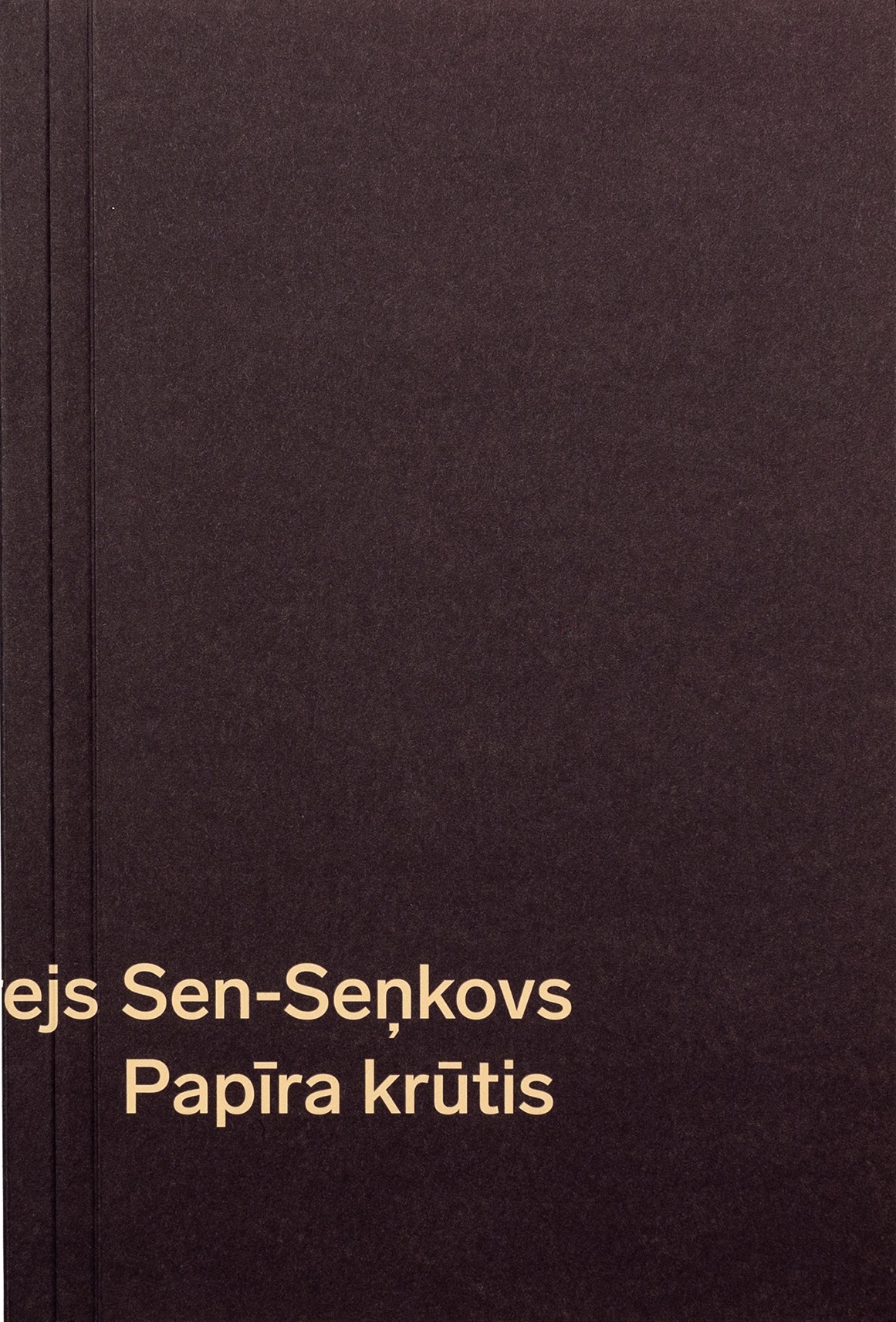 Papīra krūtis book cover