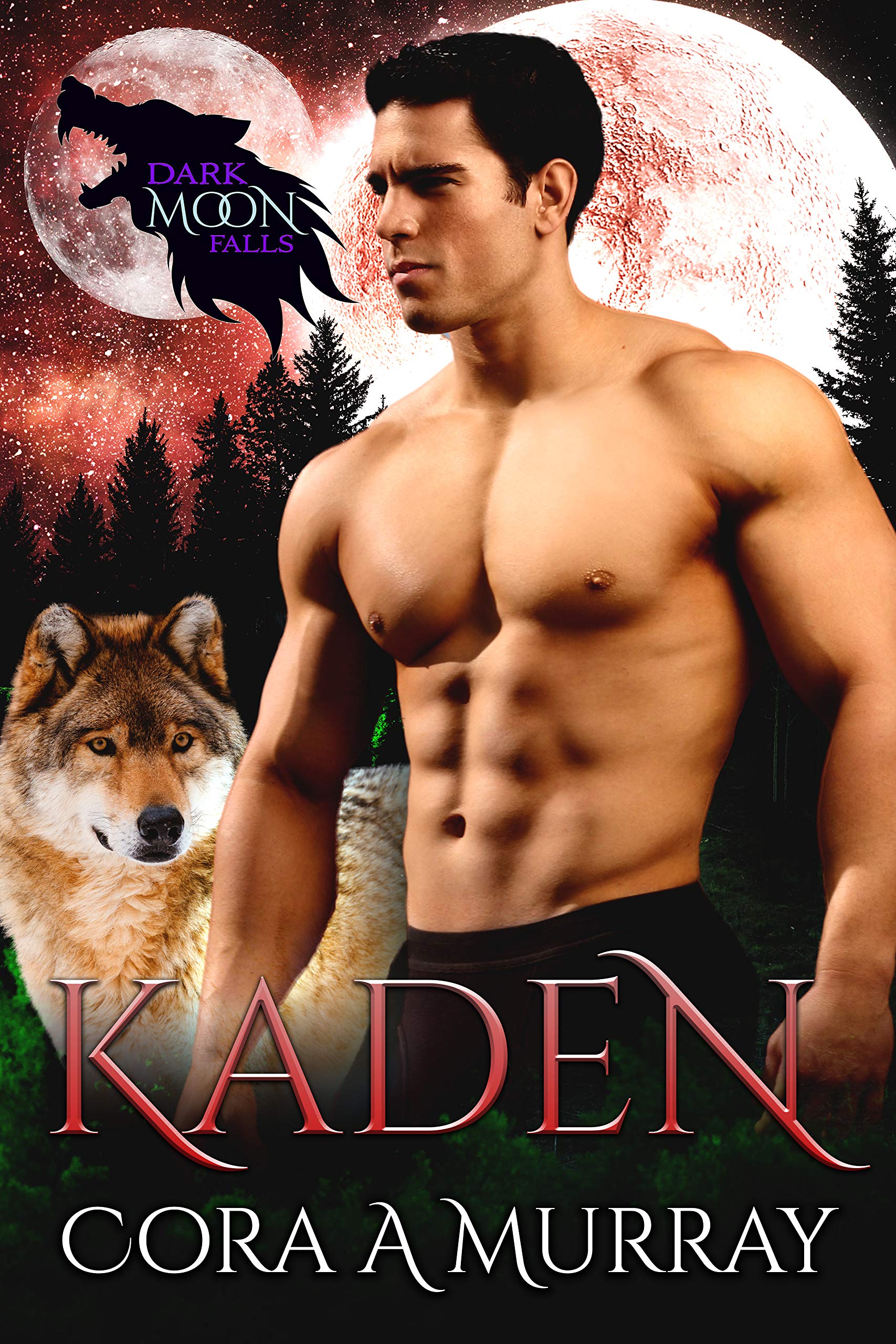 Kaden book cover