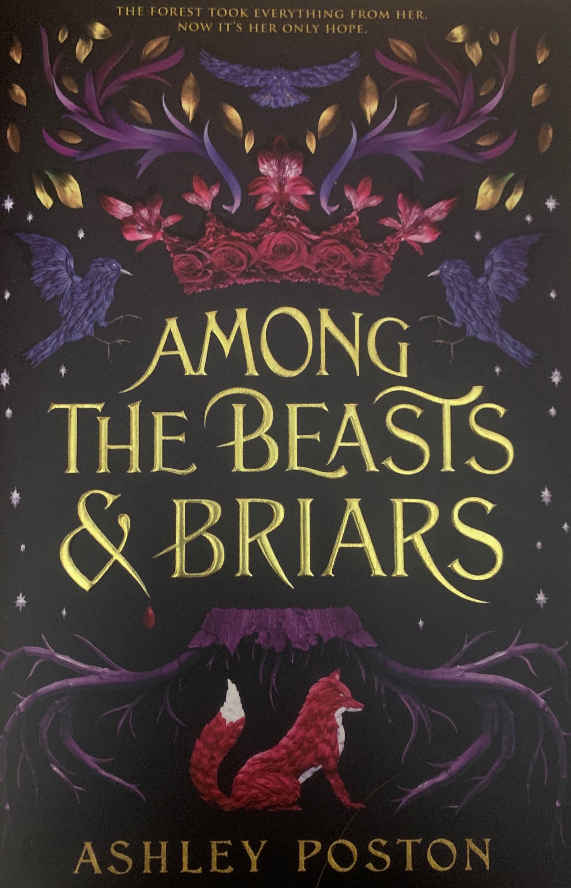 Among the Beasts & Briars