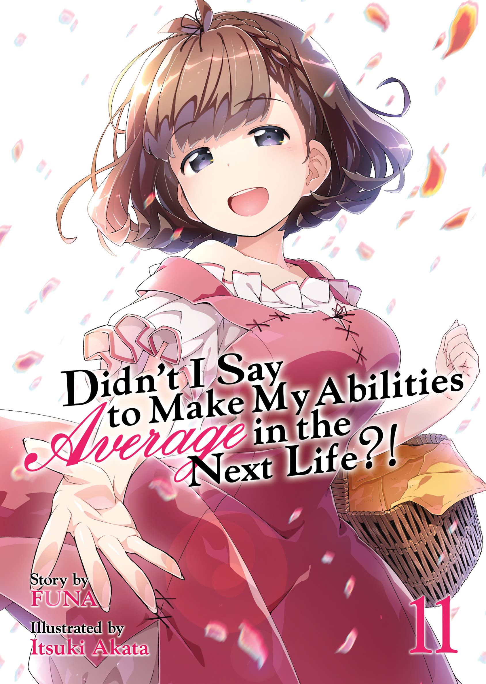 Didn’t I Say to Make My Abilities Average in the Next Life?! (Light Novel) Vol. 11