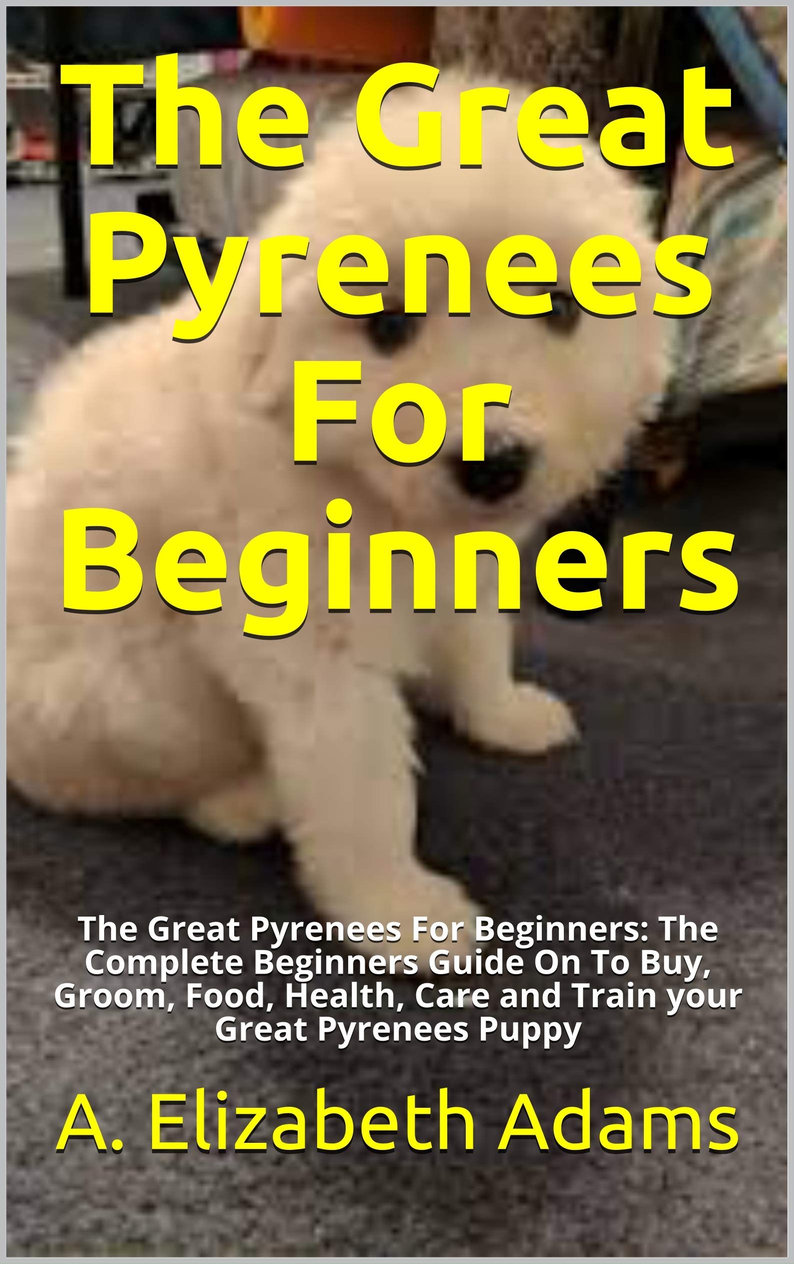 Target Rcam: The Complete Beginners Guide - 91xkd7c