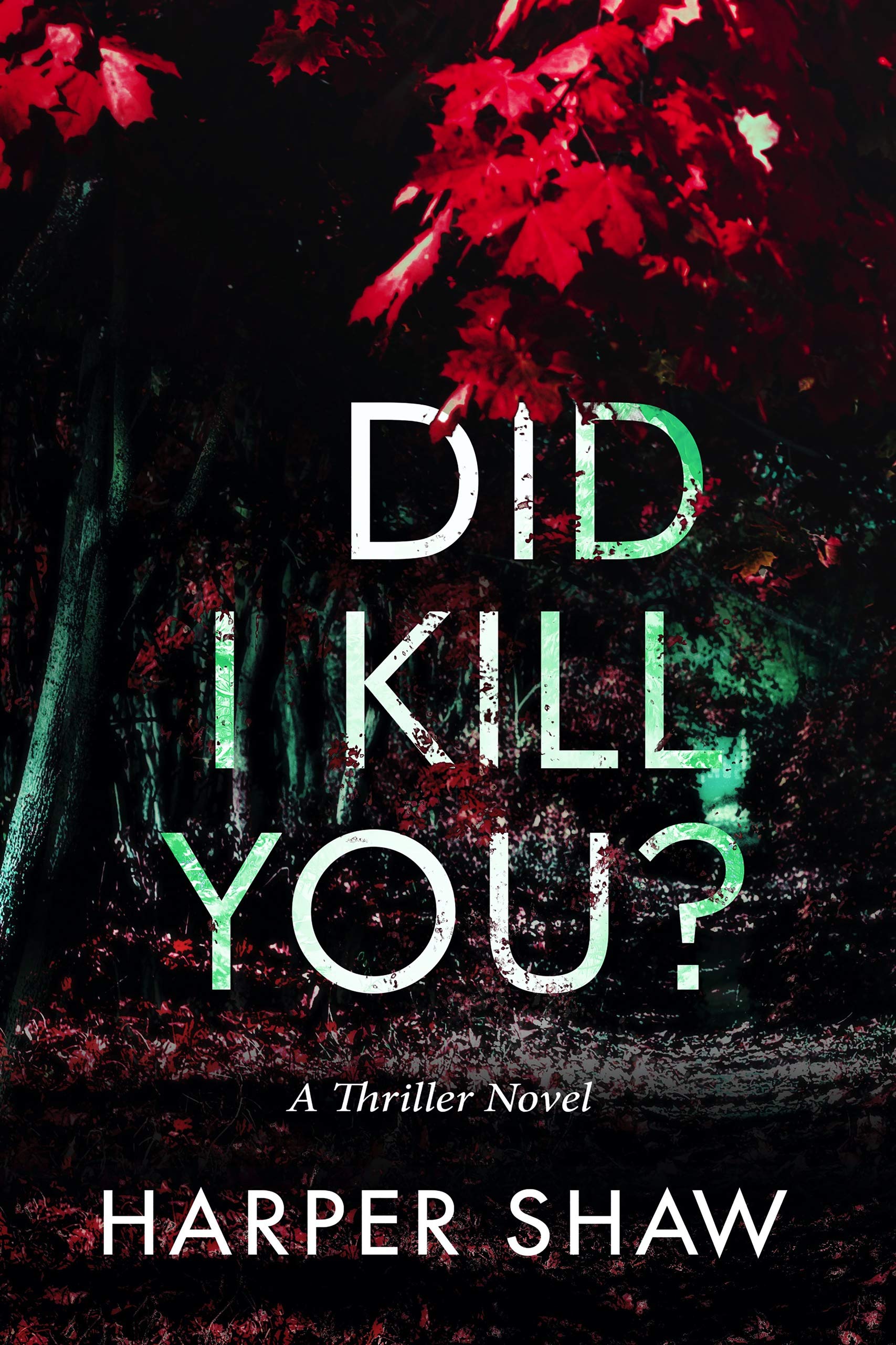 Did I Kill You?: A Thriller Novel