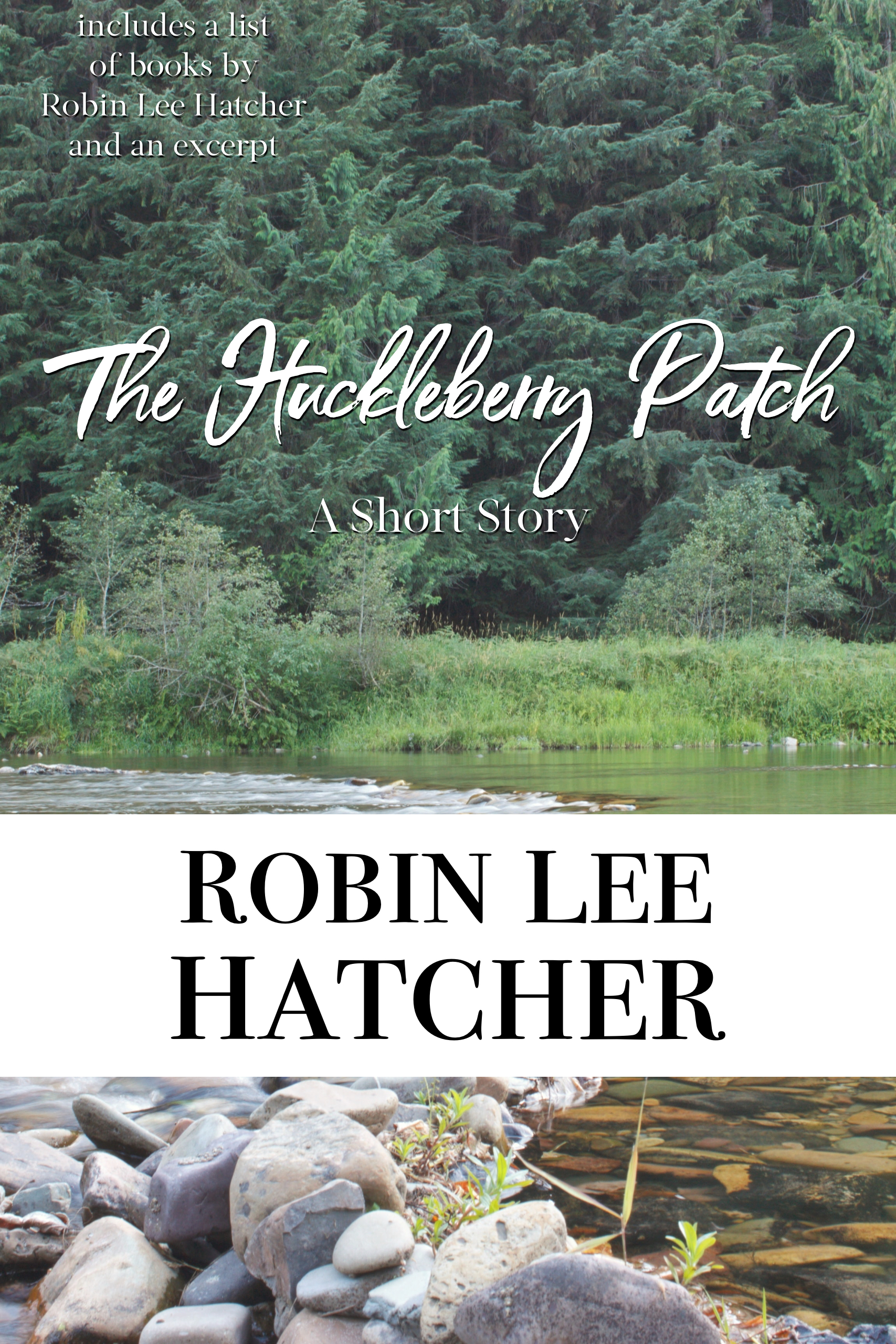 The Huckleberry Patch: A short story