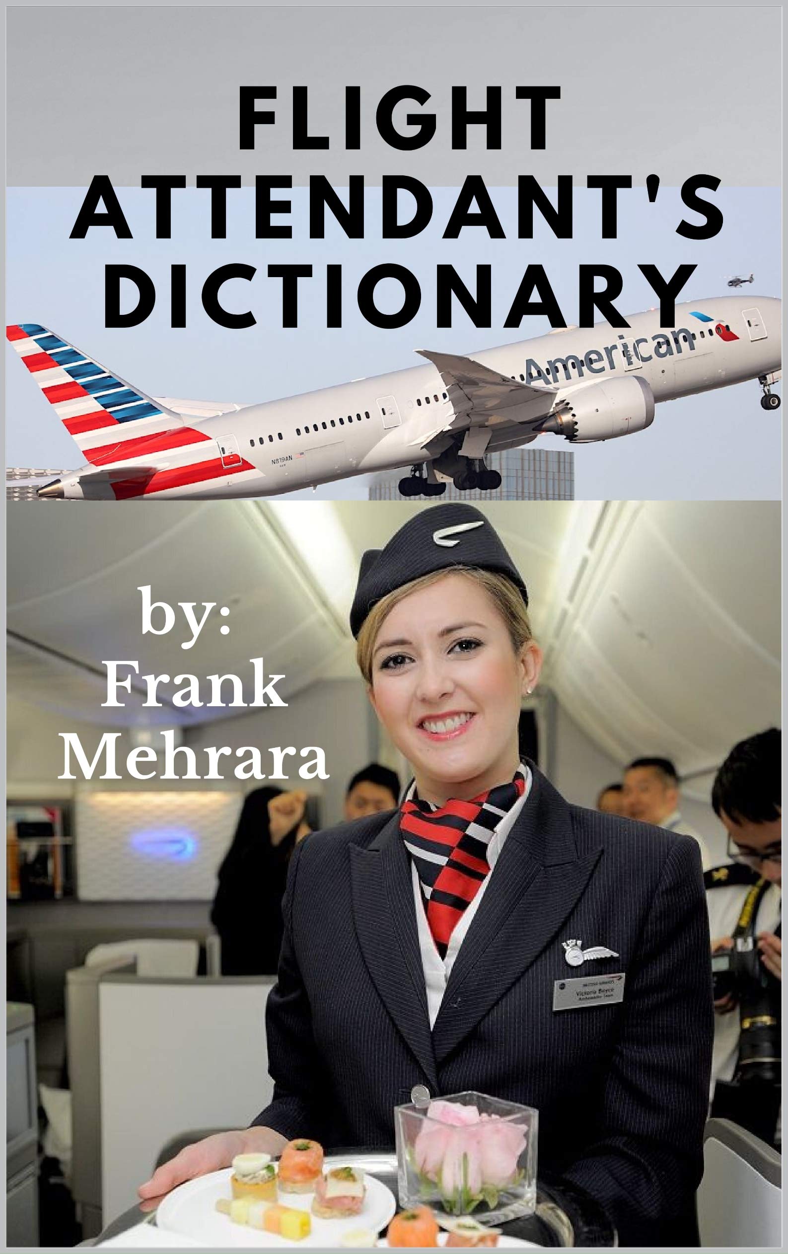 flight-attendant-s-dictionary-new-book-1-by-ali-frank-mehrara