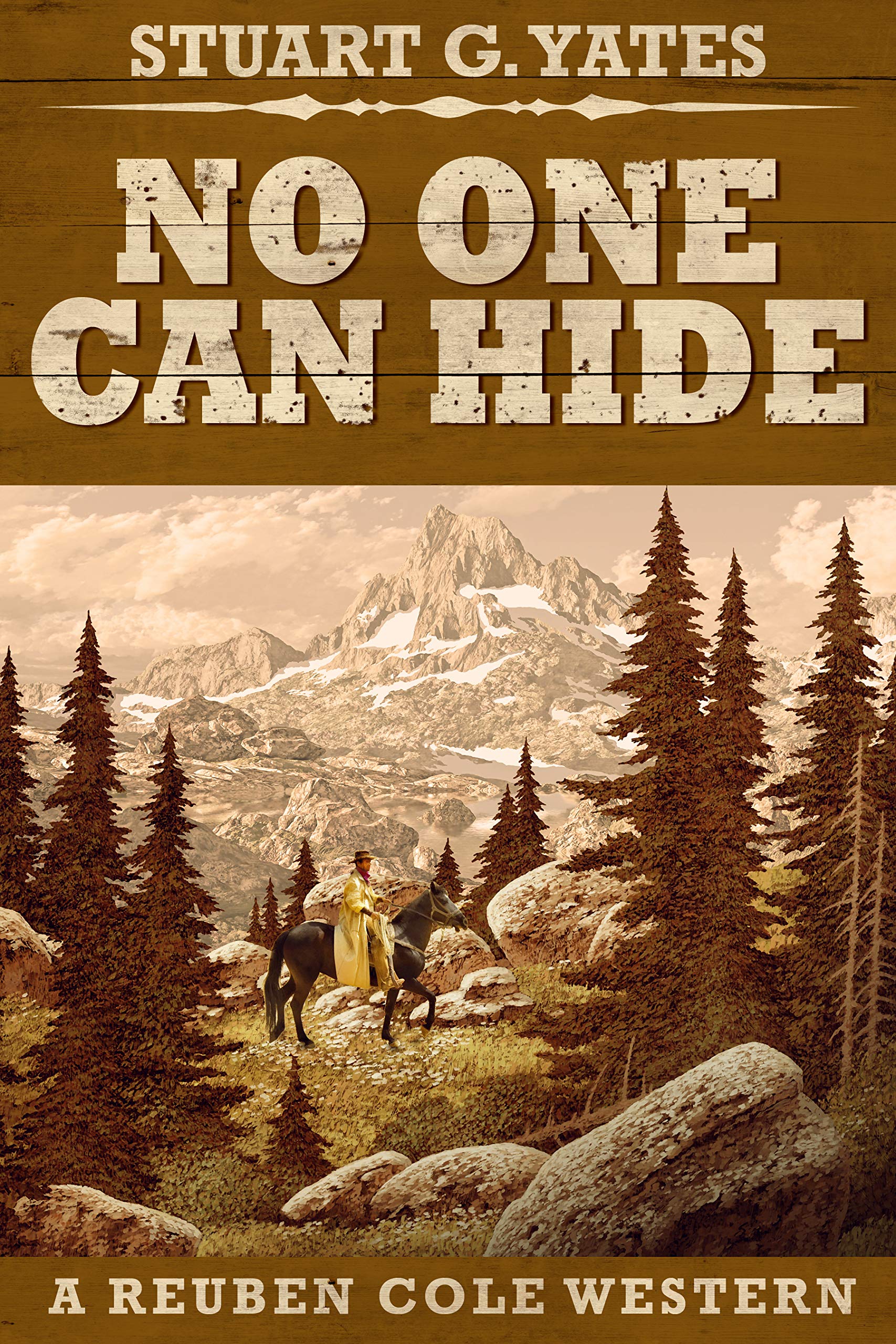 No One Can Hide book cover