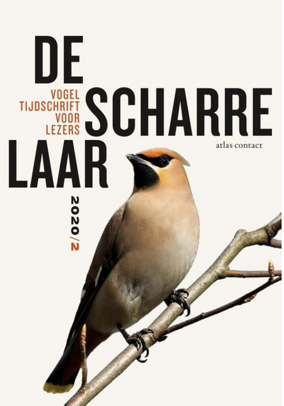 De scharrelaar