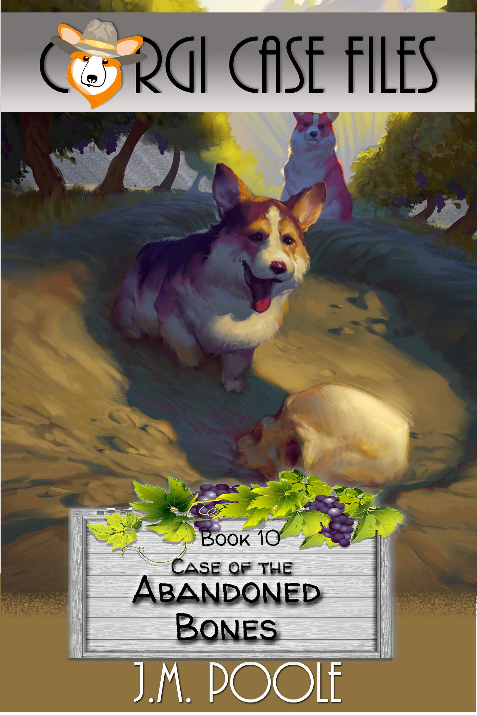 Case of the Abandoned Bones book cover