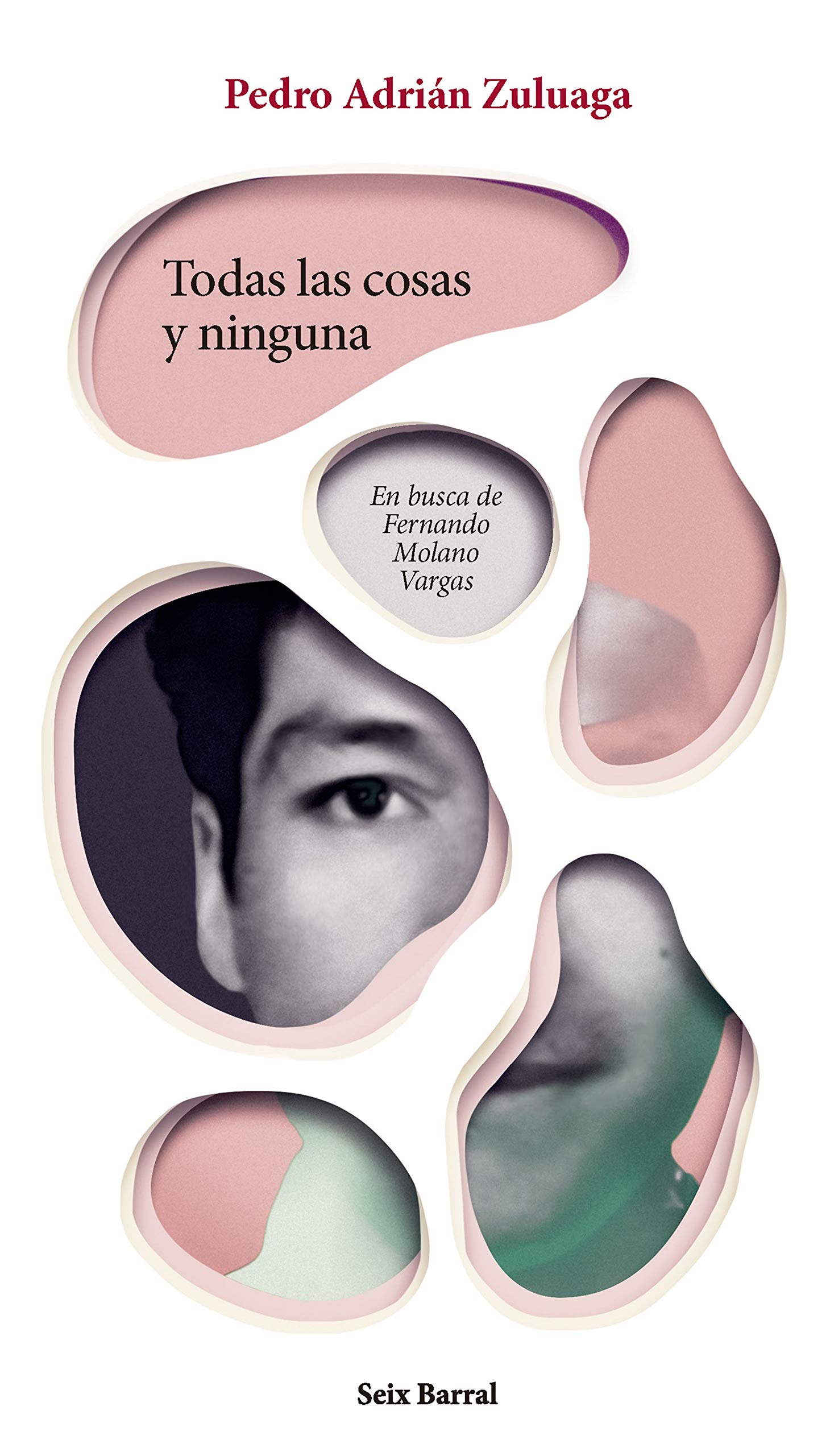 Todas las cosas y ninguna, En busca de Fernando Molano book cover