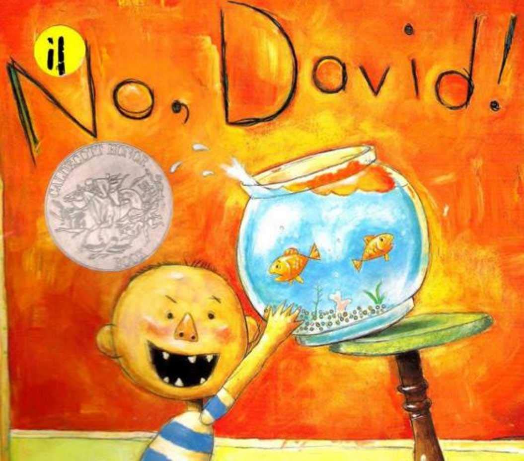 No, David! book cover