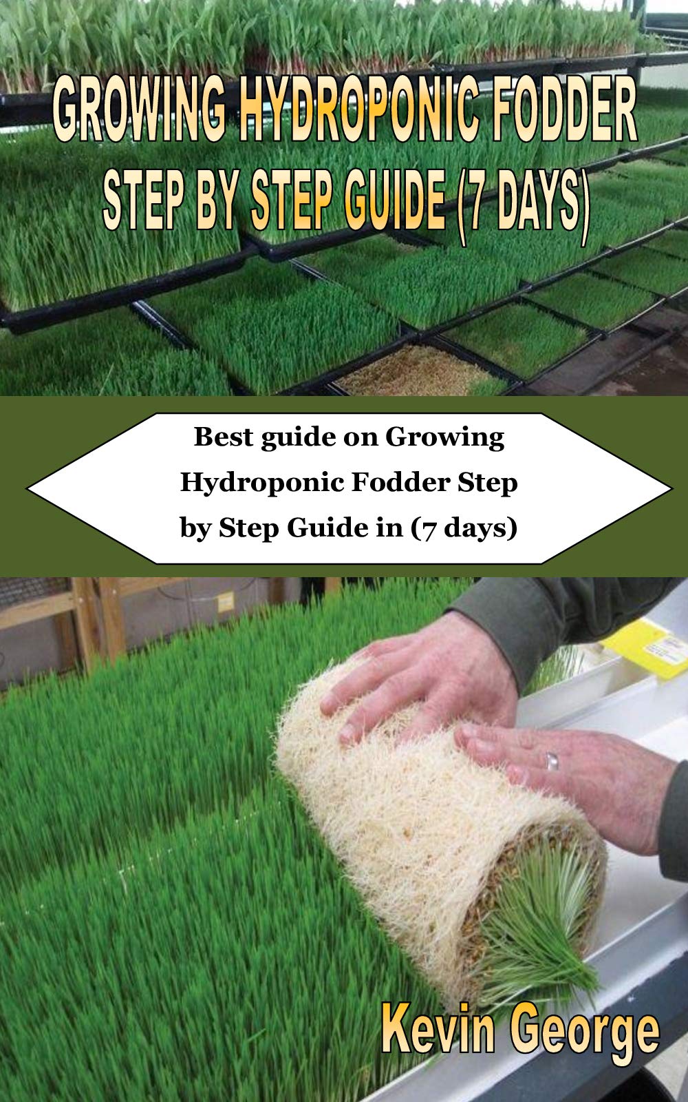GROWING HYDROPONIC FODDER STEP BY STEP GUIDE (7 DAYS) Best guide on