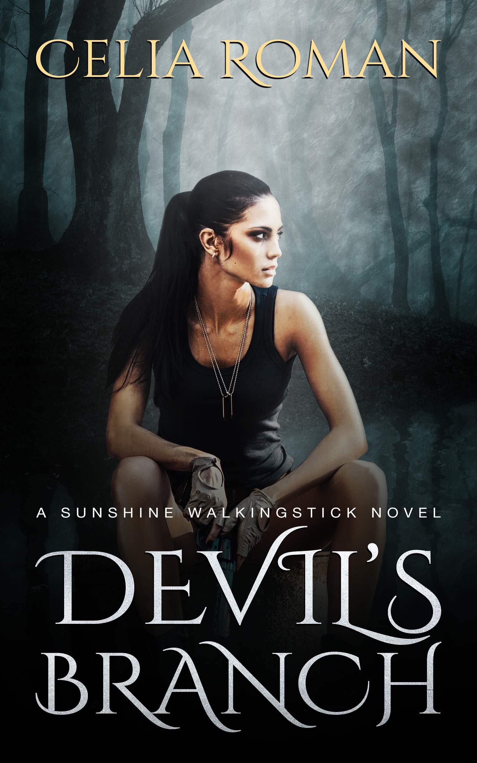 Devil's Branch book cover