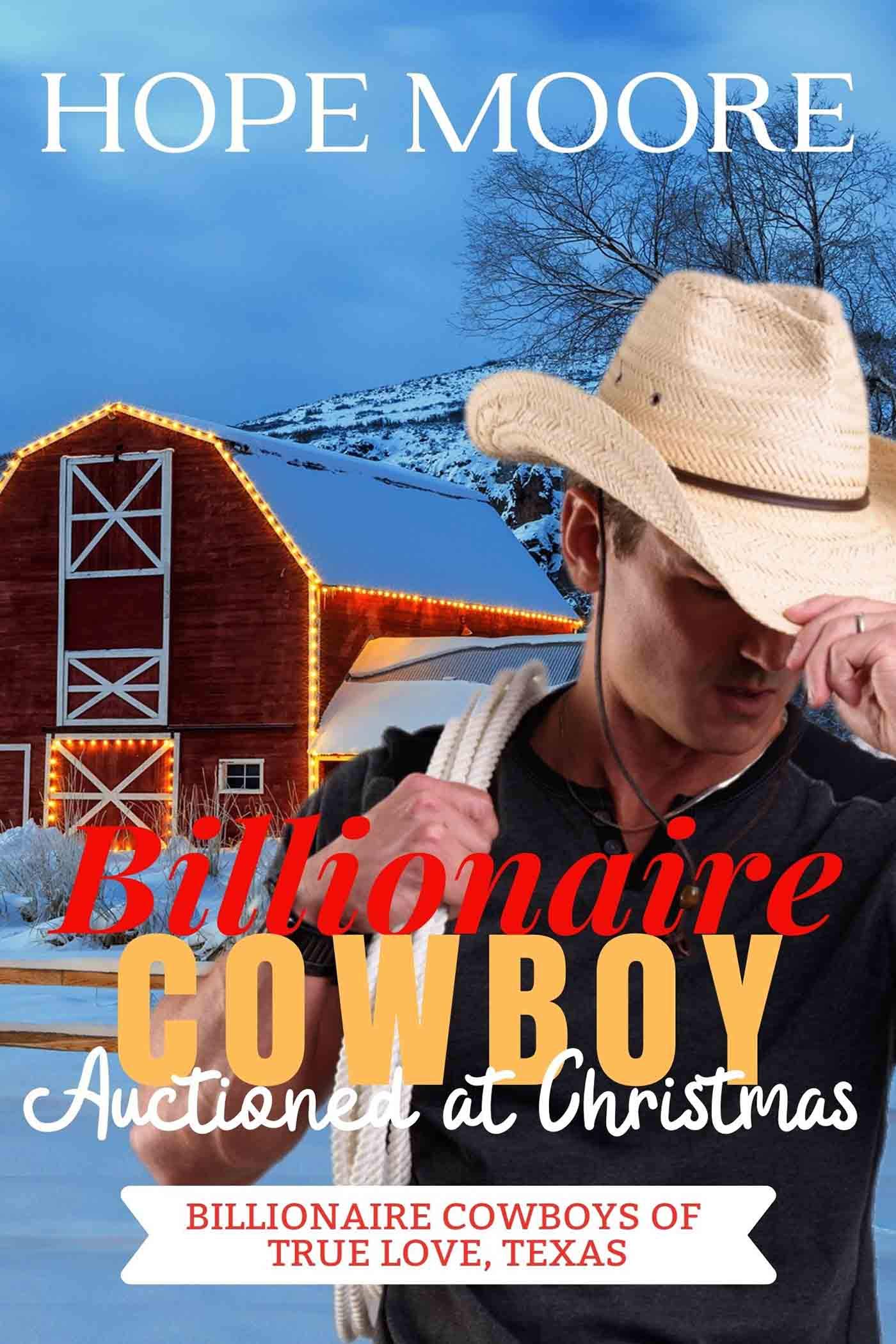 Billionaire Cowboy Auctioned at Christmas