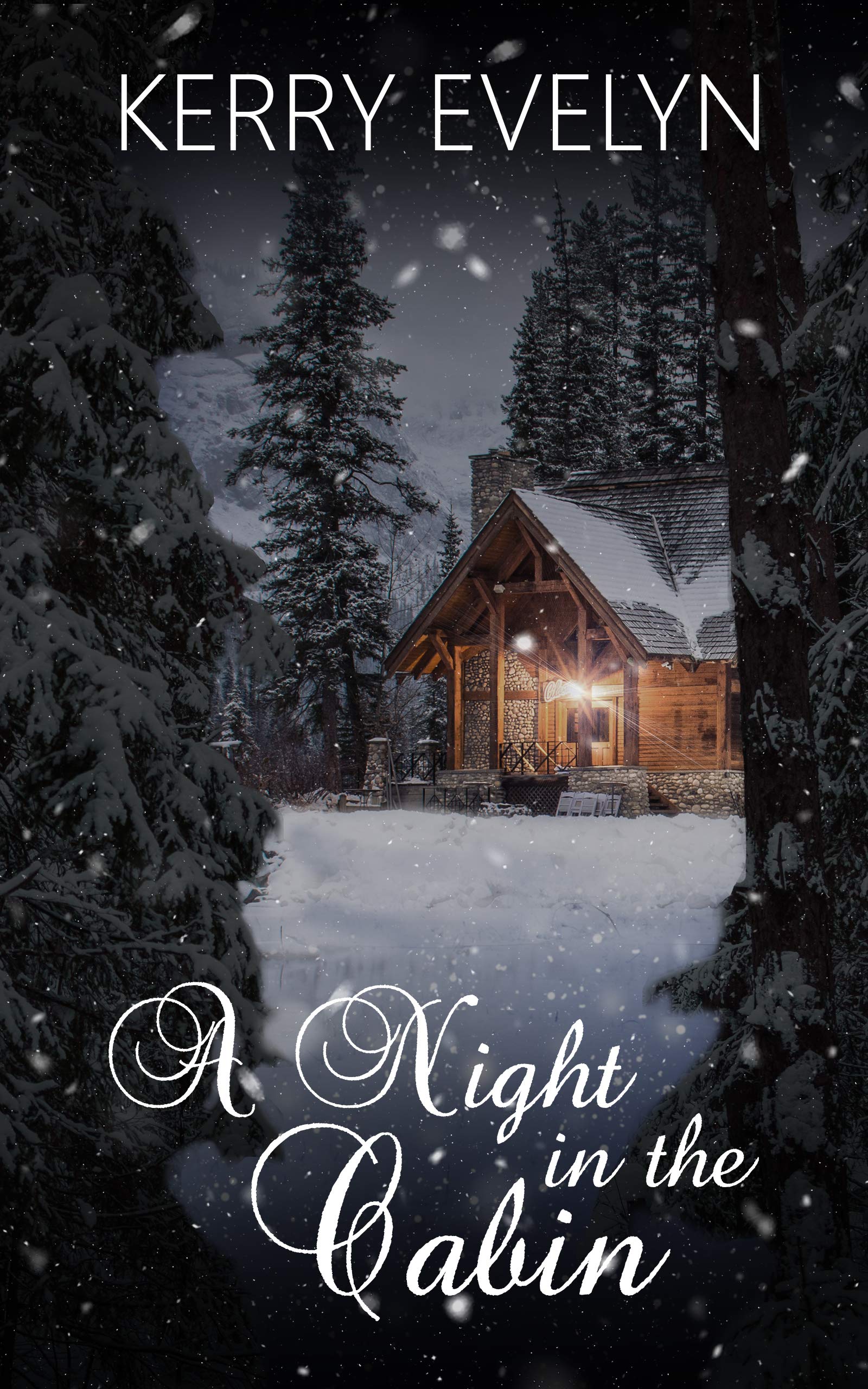 A Night in the Cabin book cover