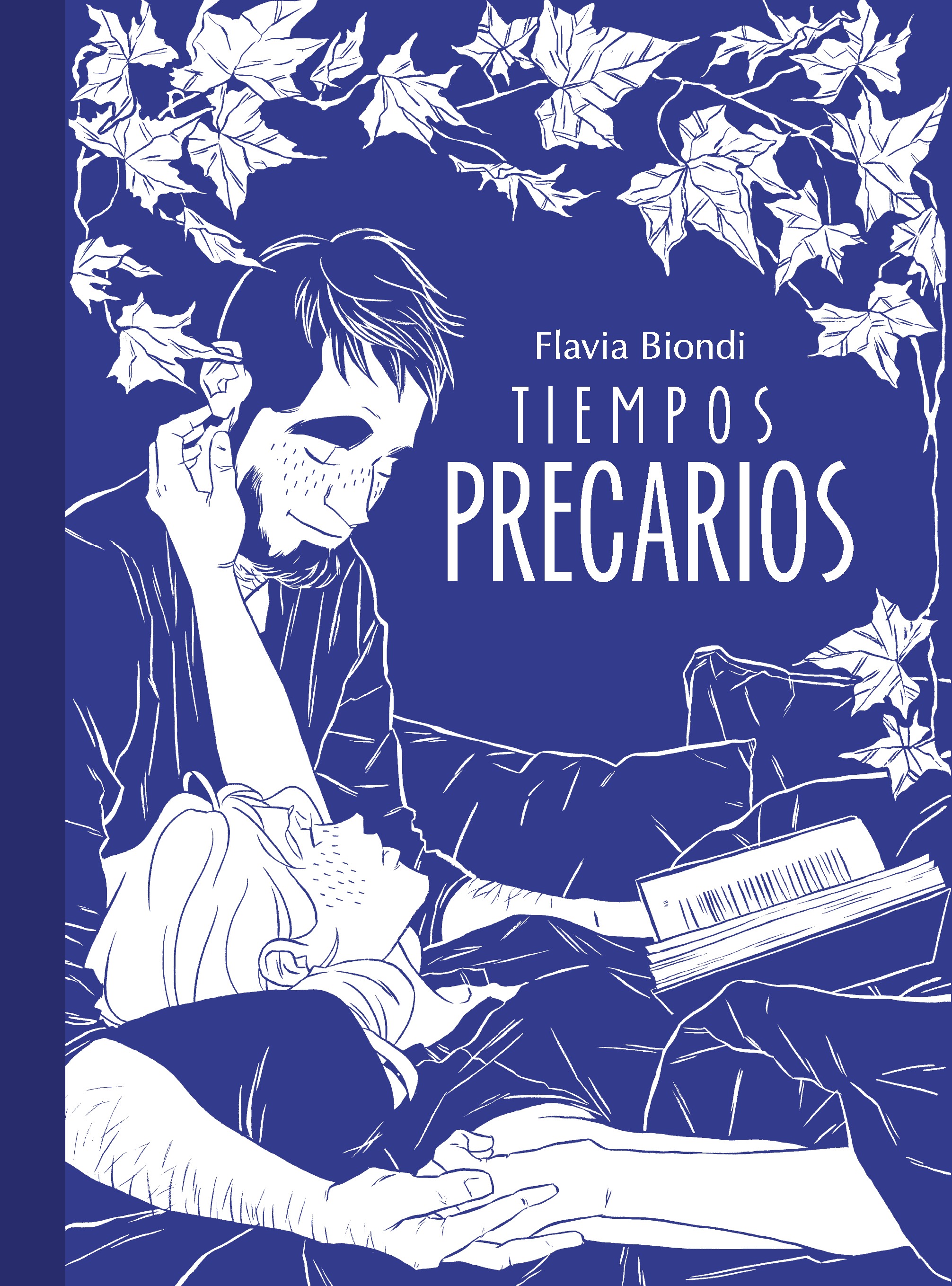 Tiempos Precarios book cover