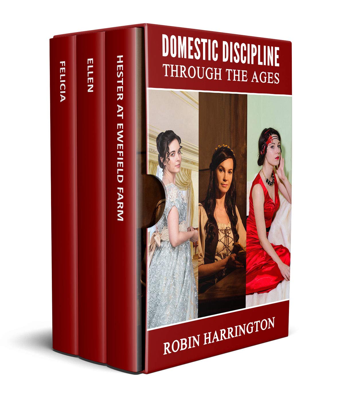 Domestic Discipline through the Ages a 3 volume box set