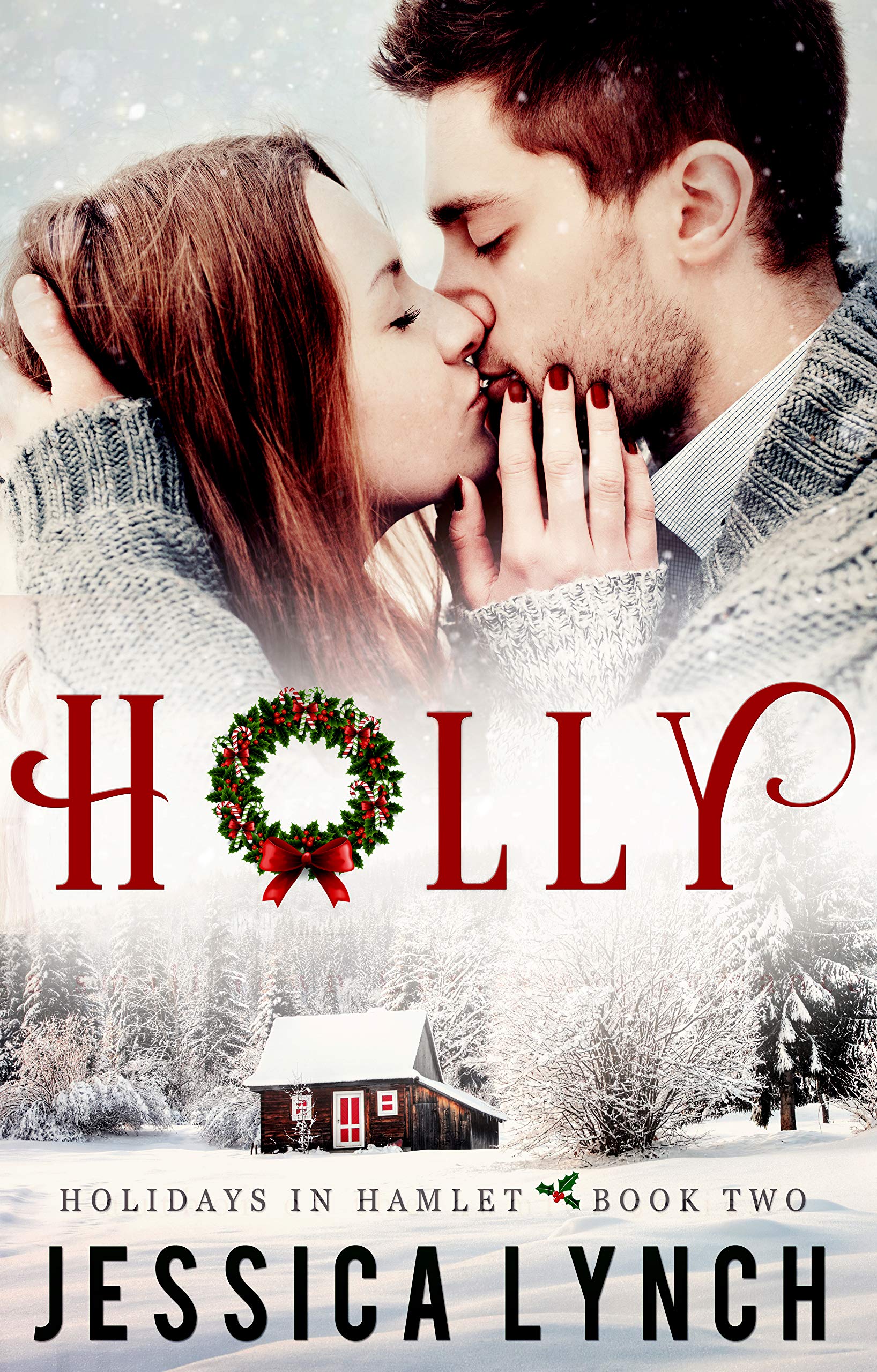 Holly book cover