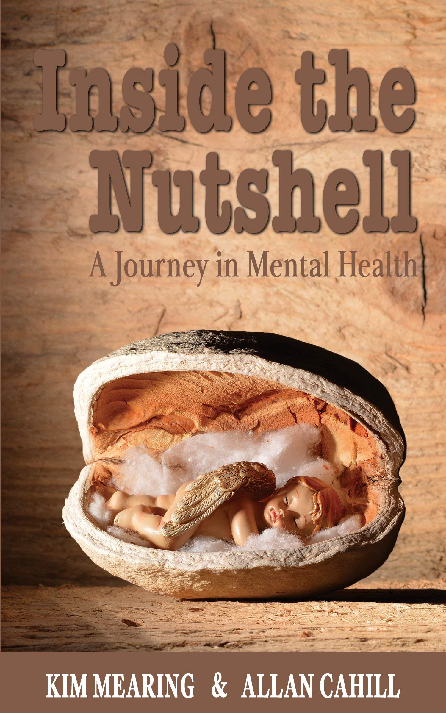 Inside the Nutshell A Journey in Mental Health by Allan Cahill Goodreads