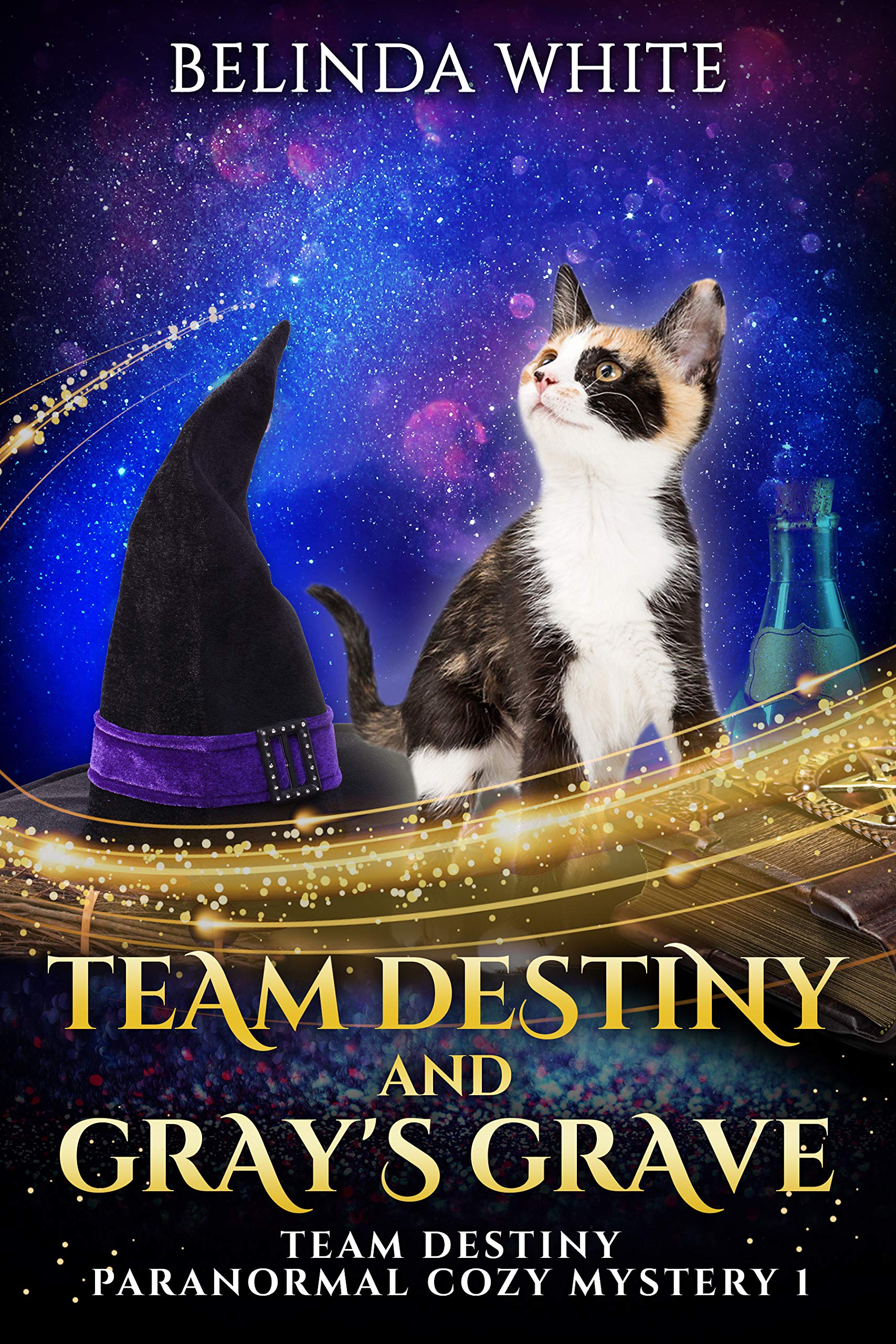 Team Destiny and Gray's Grave