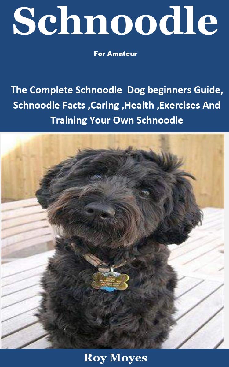 Schnoodle For Amateur The Complete Schnoodle Dog beginners Guide