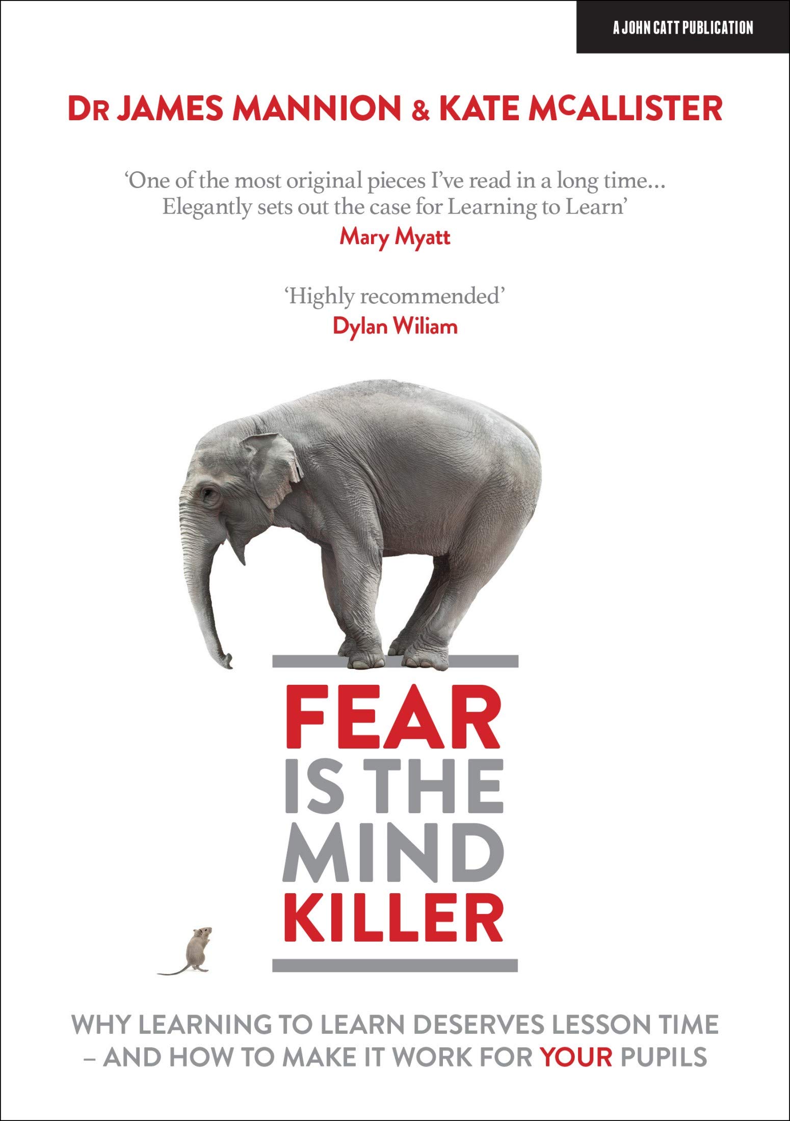 Fear Is The Mind Killer: Why Learning to Learn deserves lesson time - and how to make it work