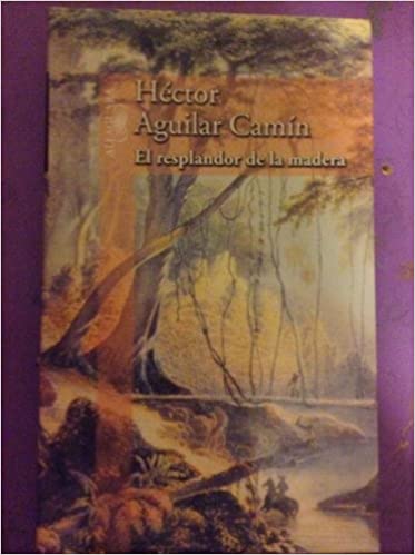 El resplandor de la madera [The Glow of Wood] book cover
