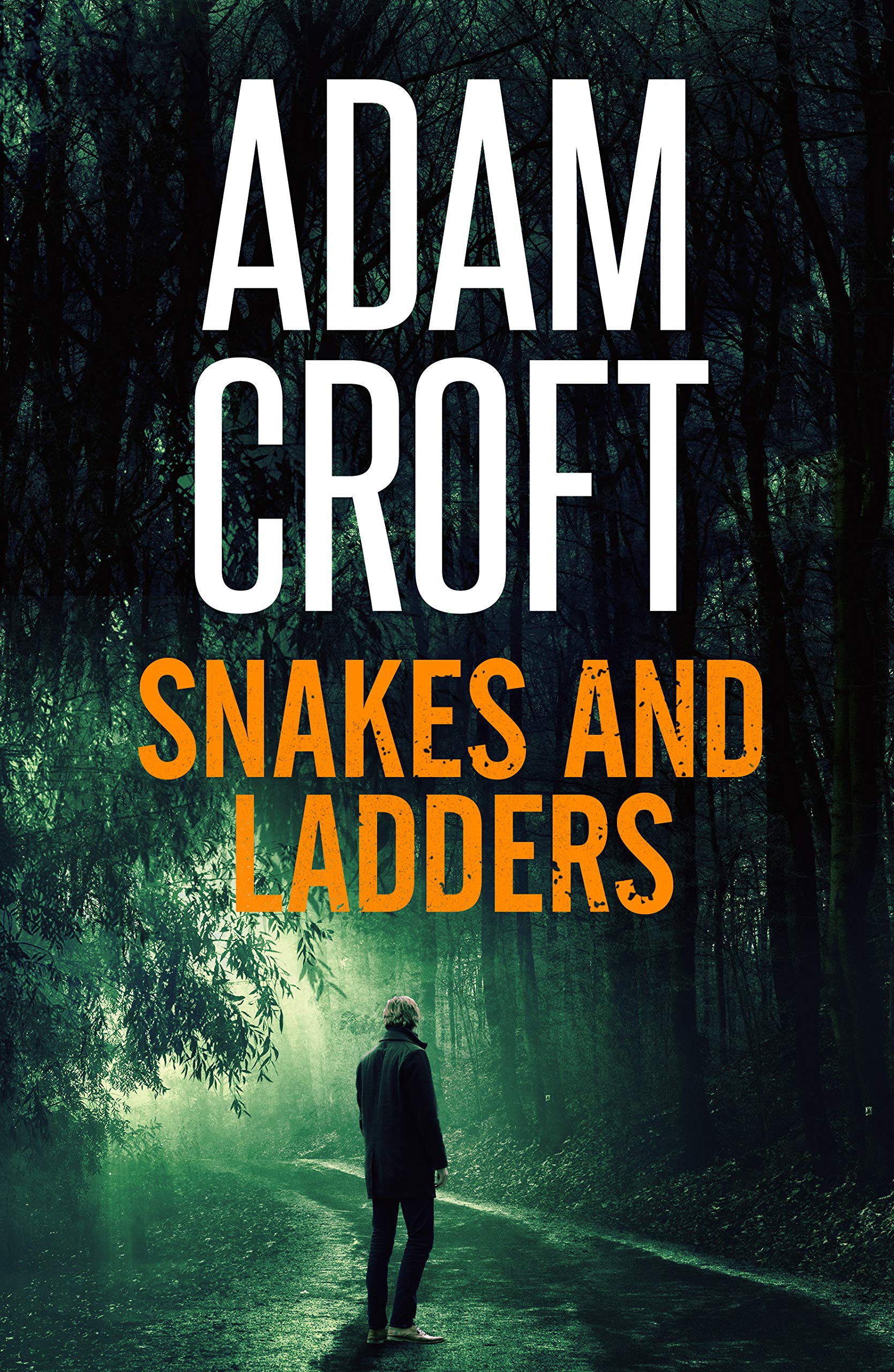 Snakes and Ladders book cover