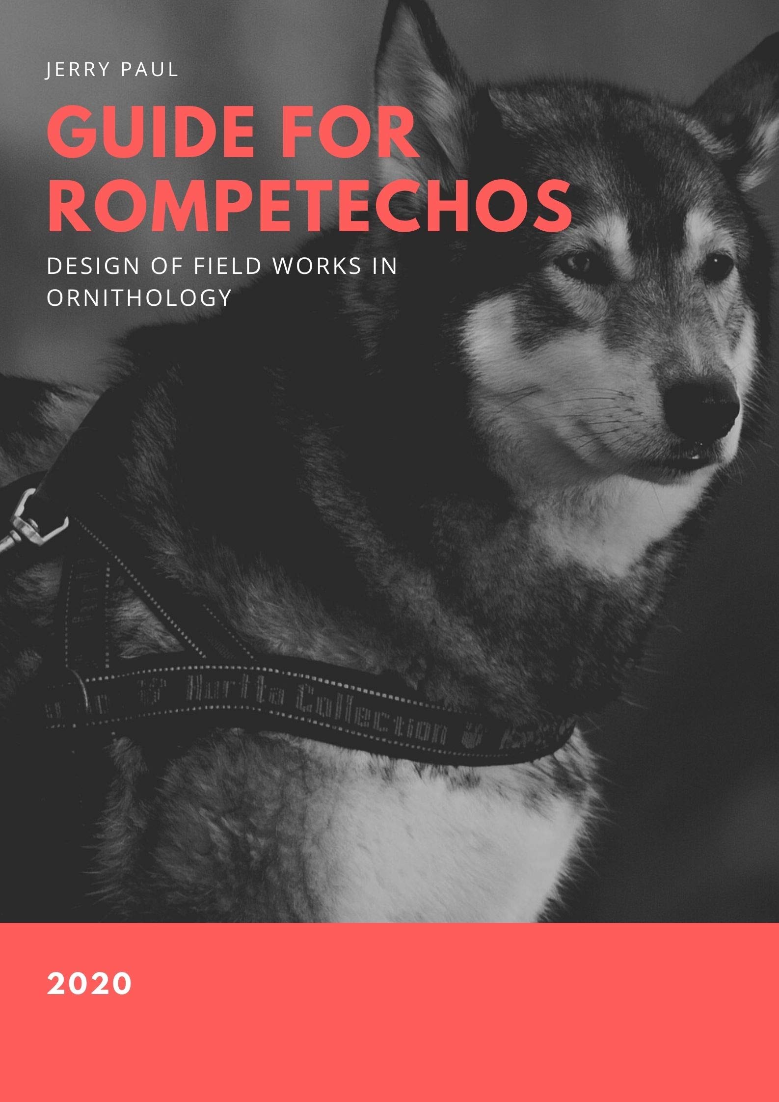 DESIGN OF FIELD WORKS IN ORNITHOLOGY GUIDE FOR ROMPETECHOS by Jerry