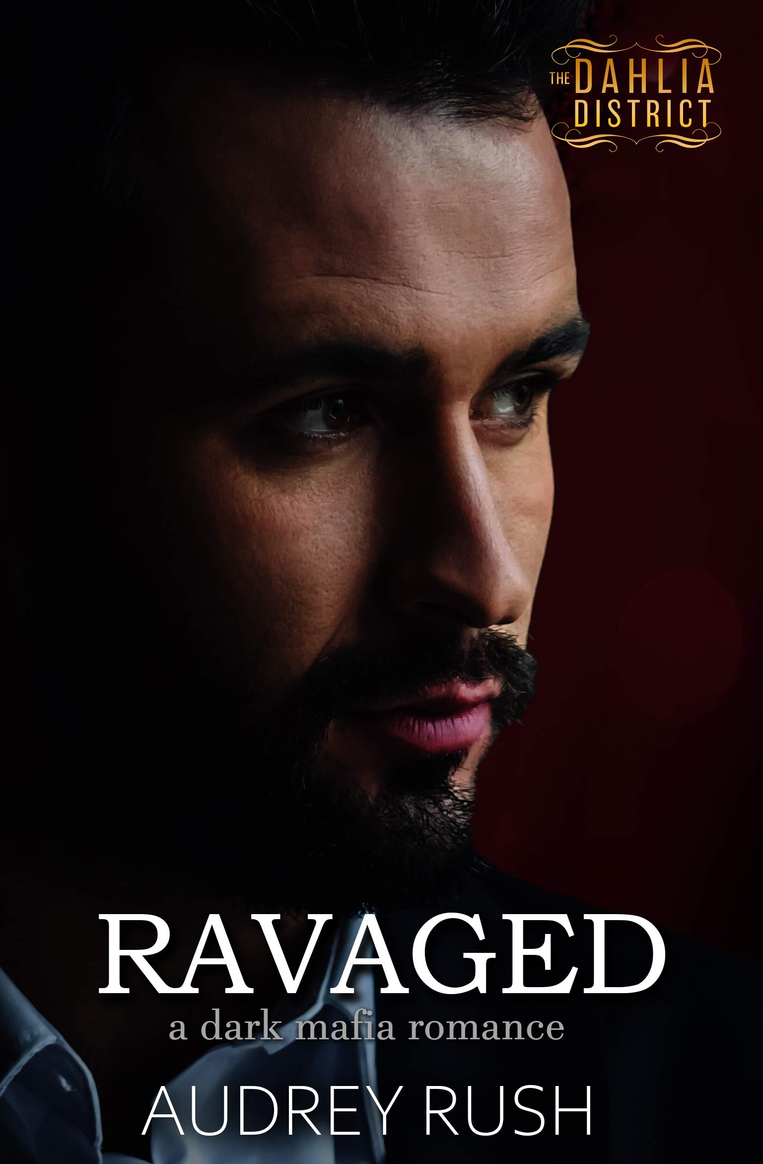 Ravaged book cover
