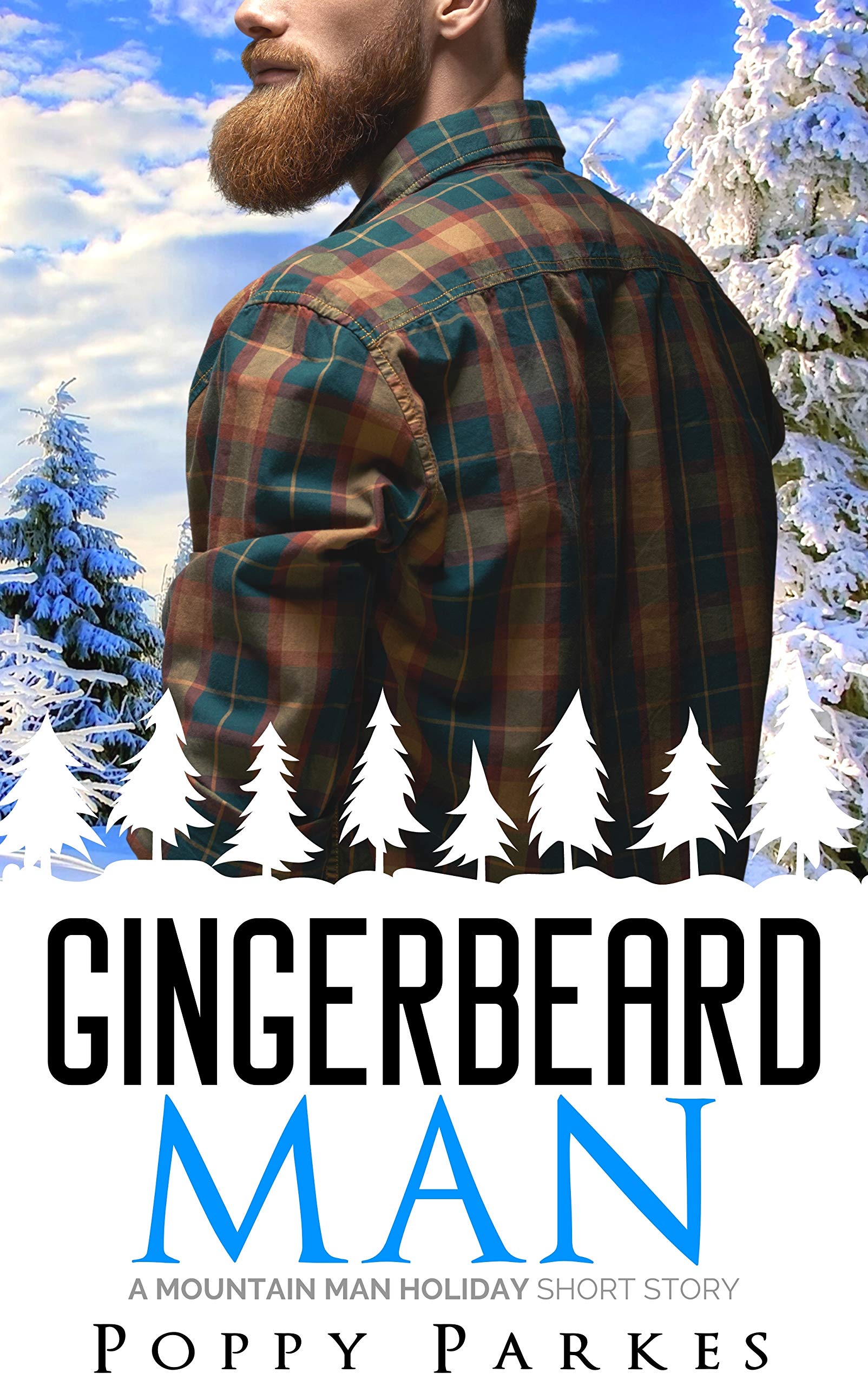 Mountain Man book cover 2