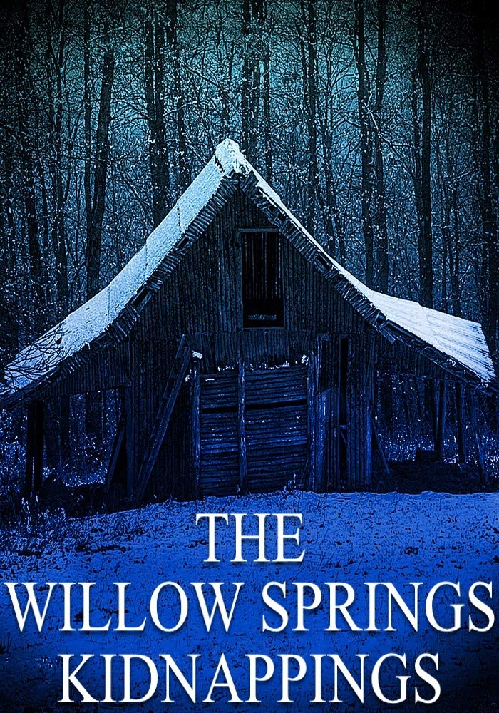 The Willow Springs Kidnappings book cover
