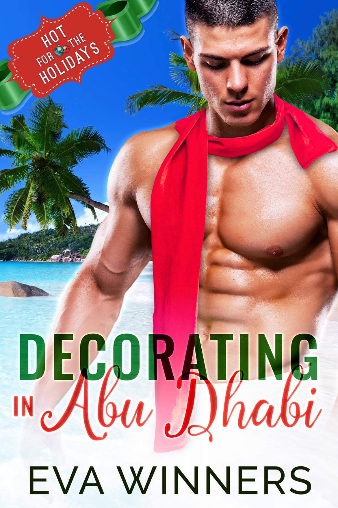 Decorating Abu Dhabi book cover