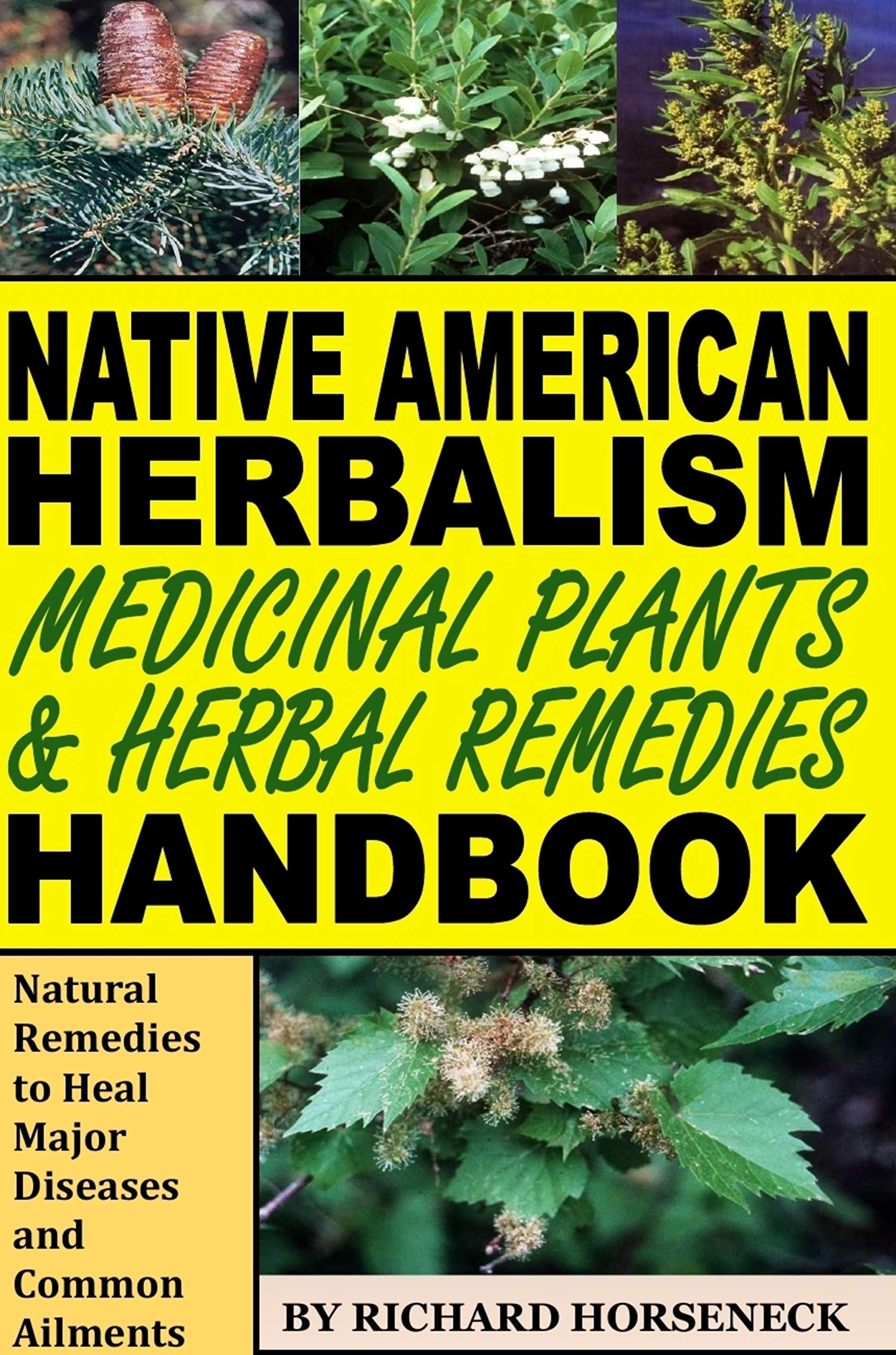 Native American Herbalism, Medicinal Plants and Herbal Remedies