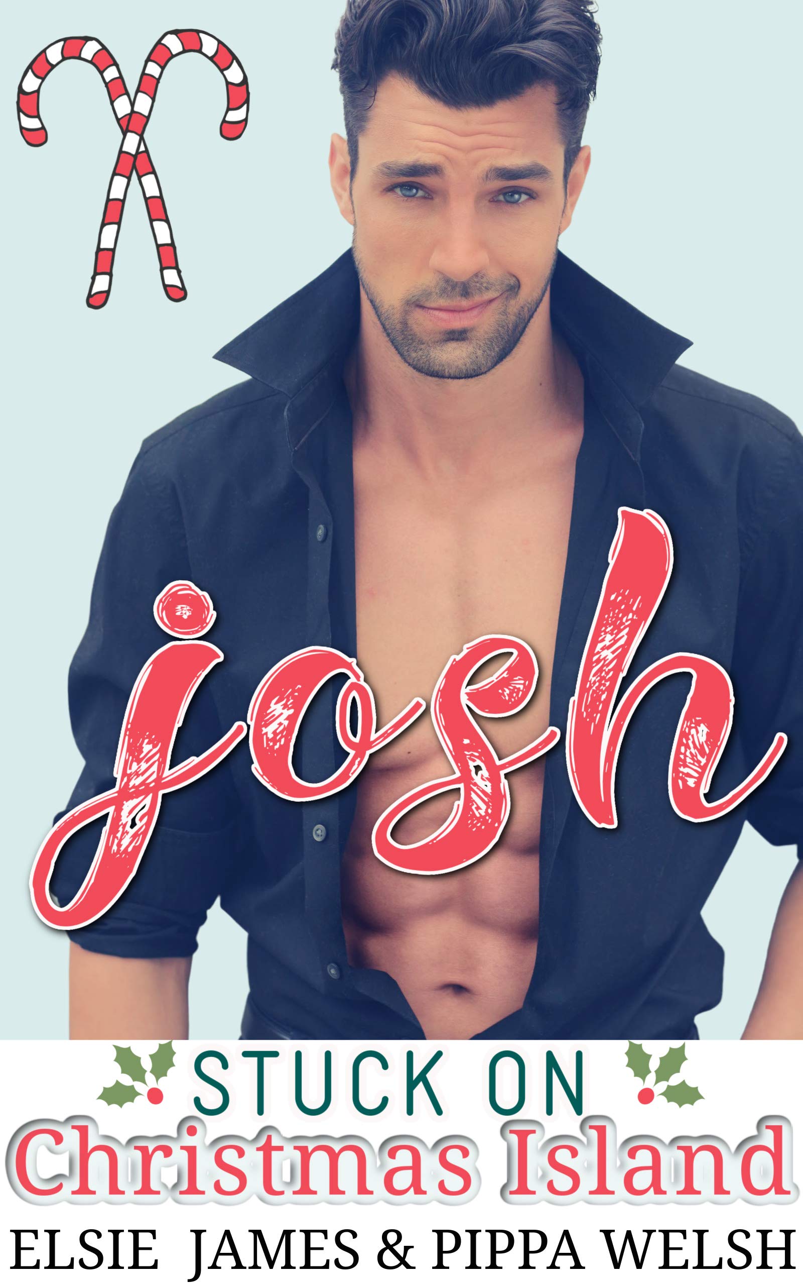 Josh book cover