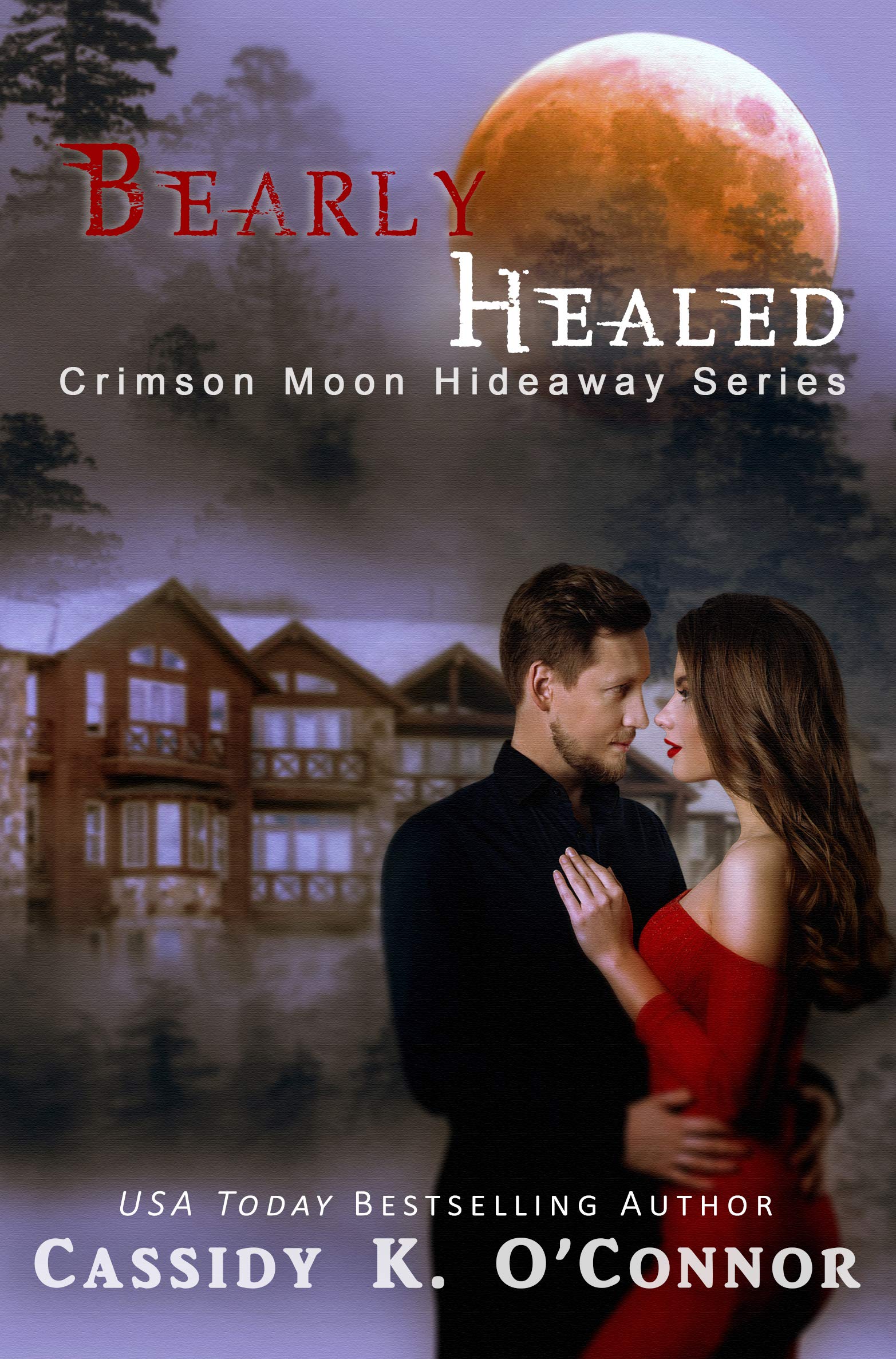 Bearly Healed book cover