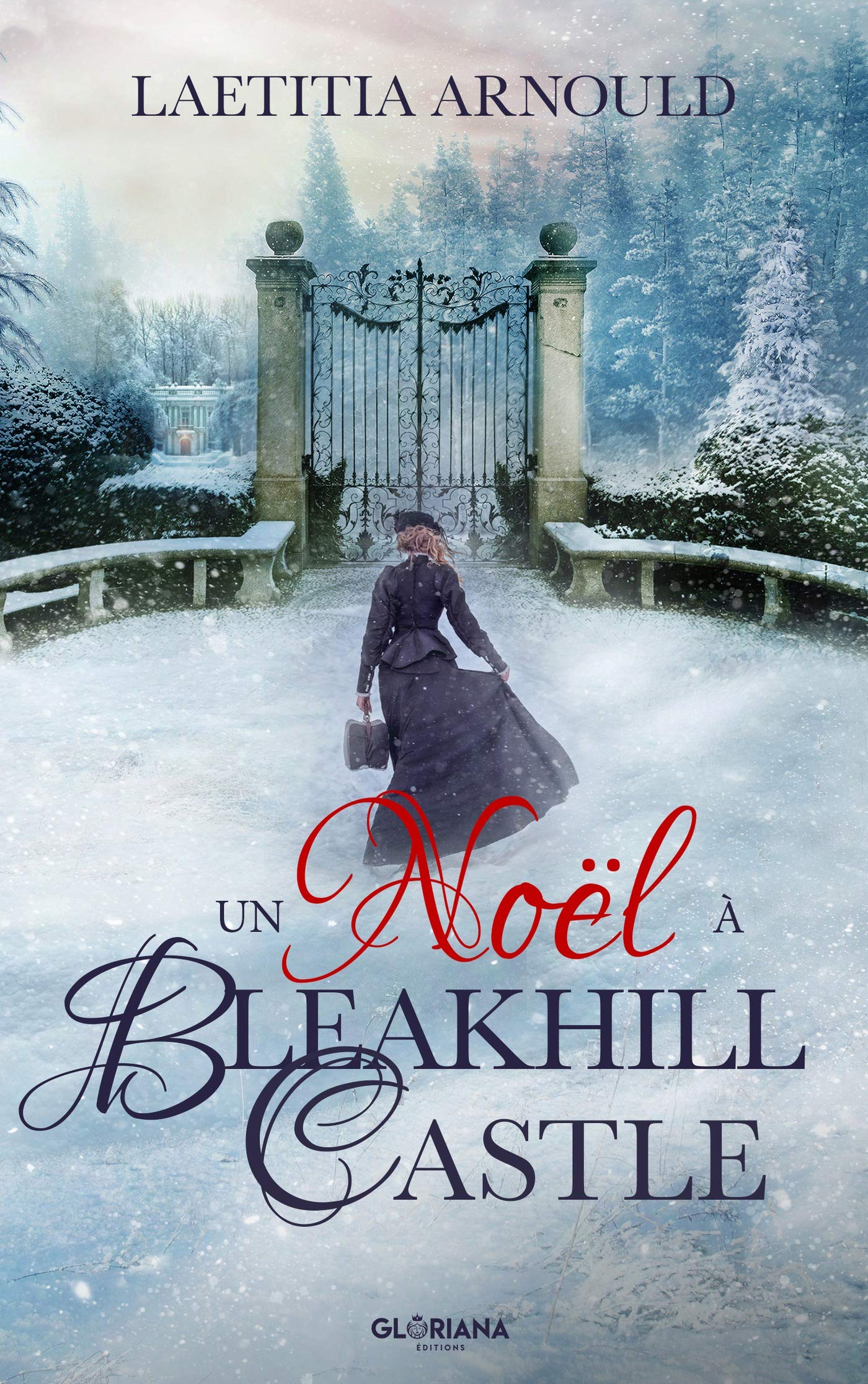 Un Noël à Bleakhill Castle book cover