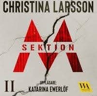 Sektion M book cover 2