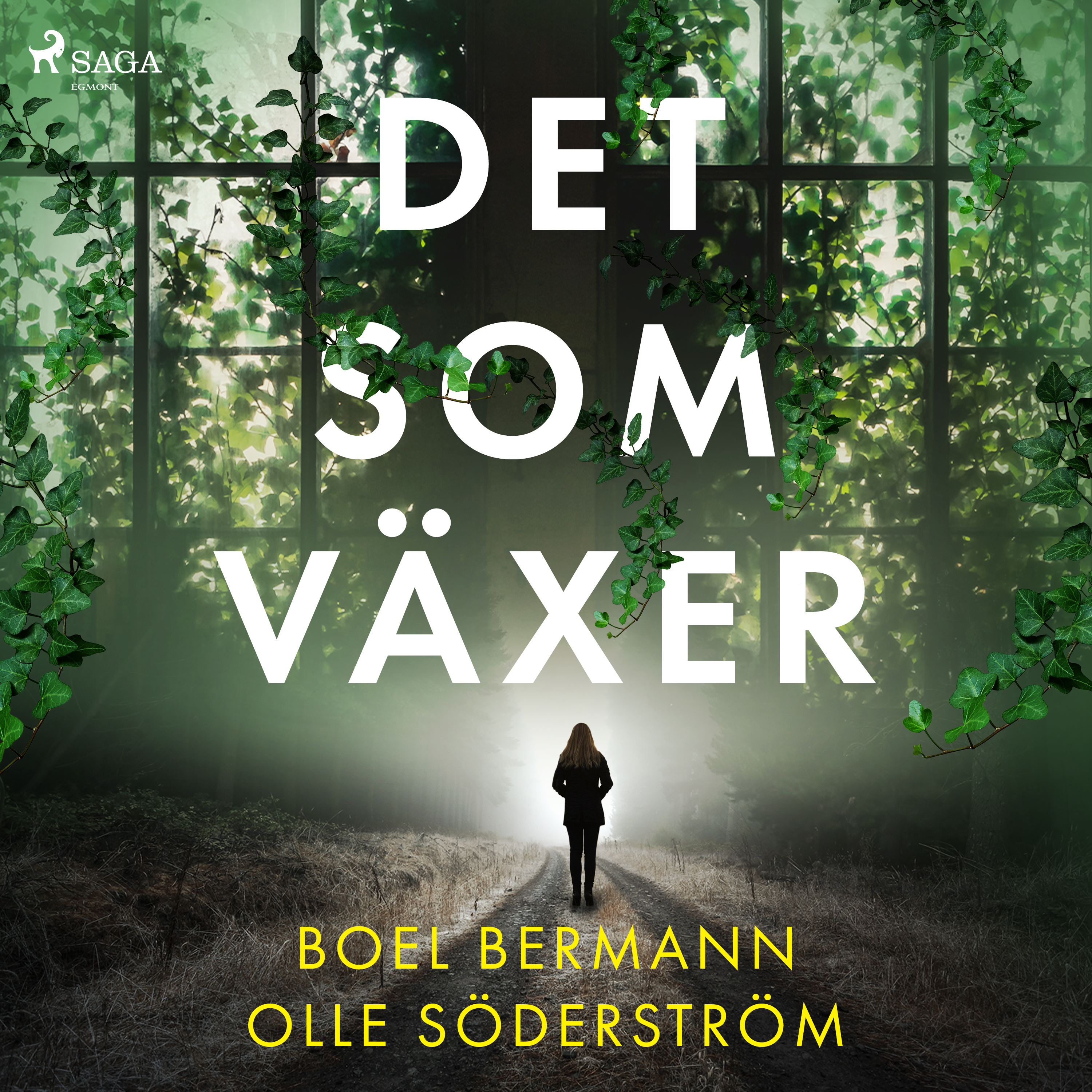 Det som växer book cover