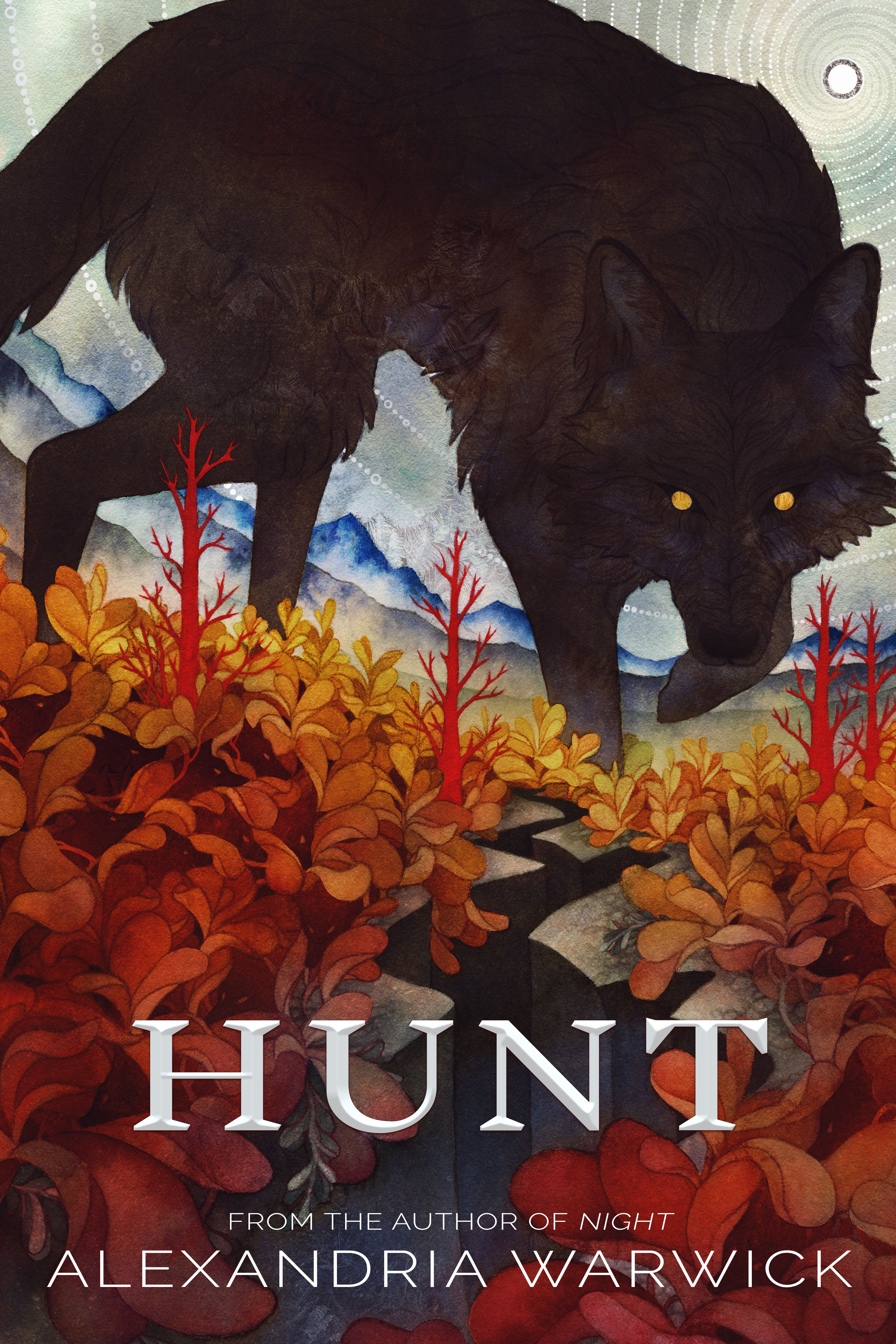 North book cover 3