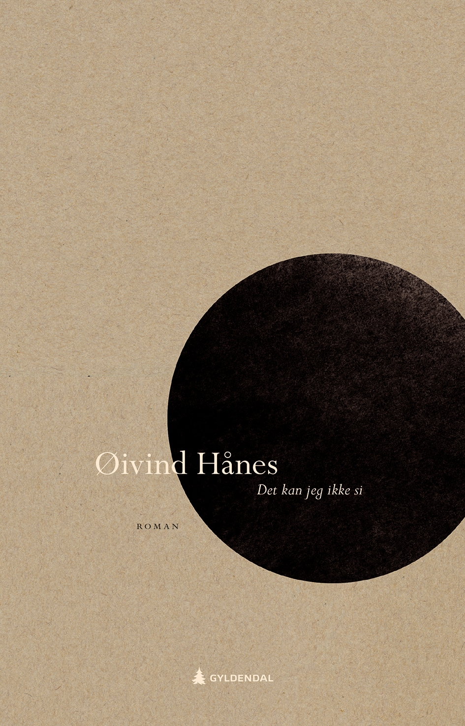 Det kan jeg ikke si book cover