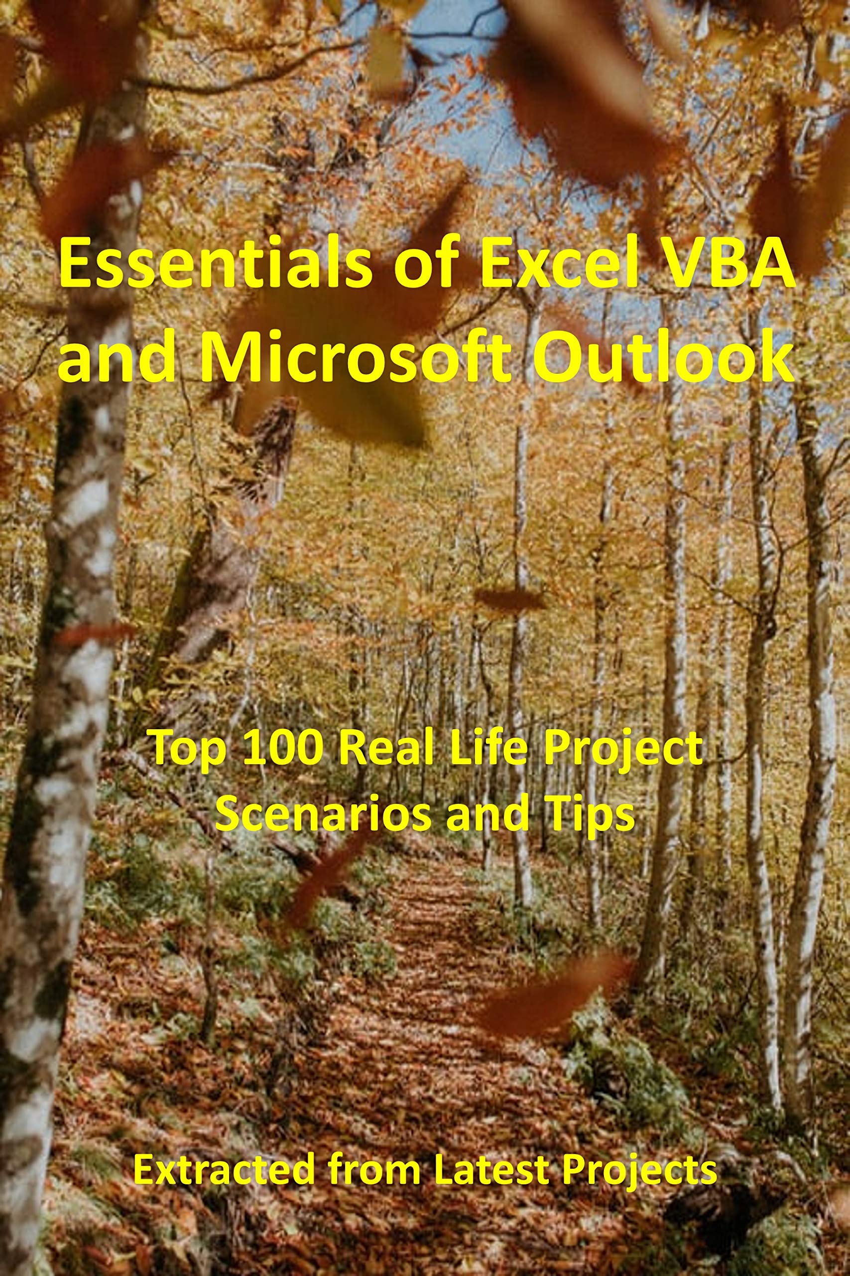 Essentials of Excel VBA and Microsoft Outlook Top 100 Real Life Project Scenarios and Tips