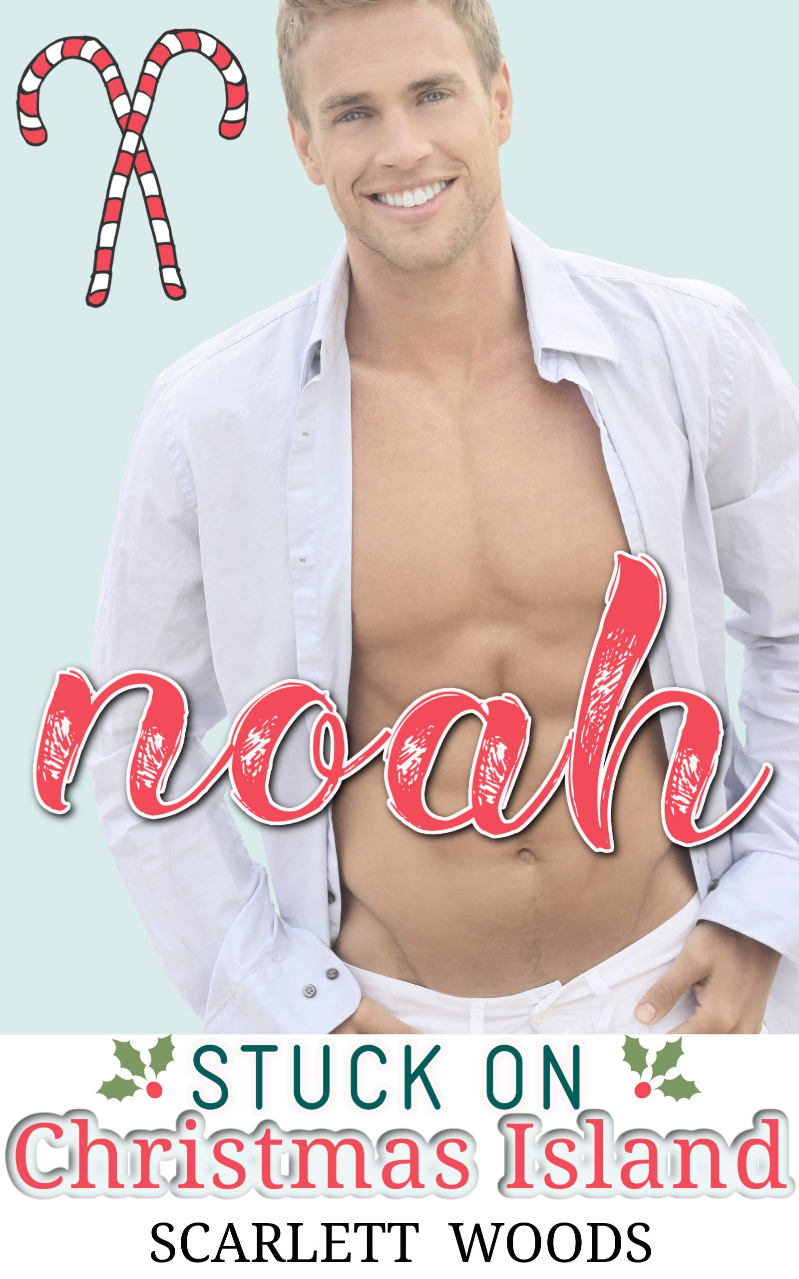 Stuck on Christmas Island book cover 3