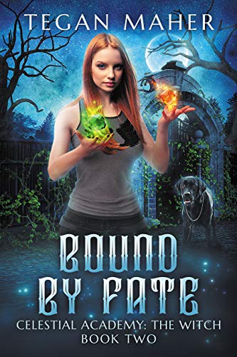 Bound by Fate book cover